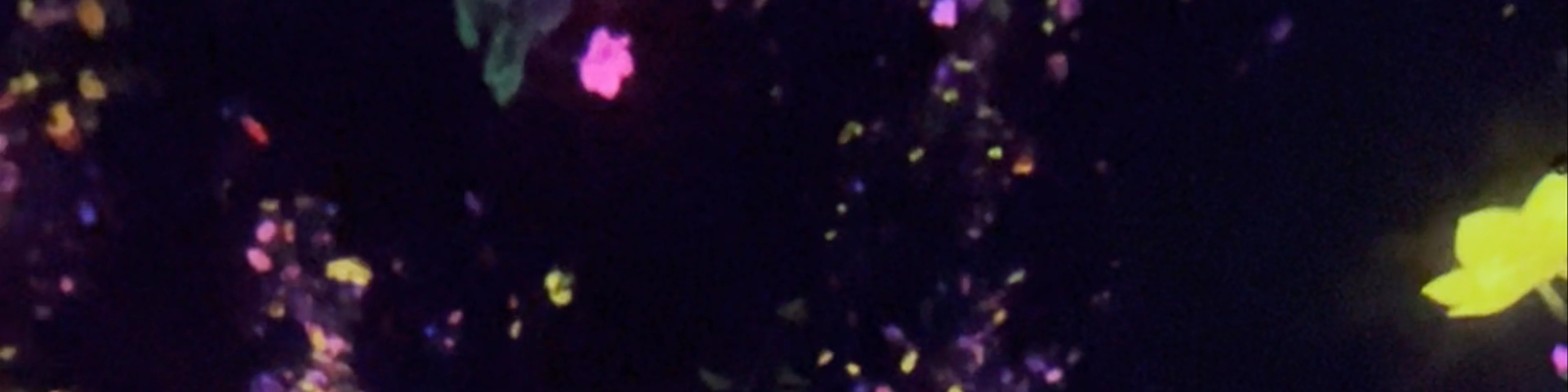 teamLab Planets