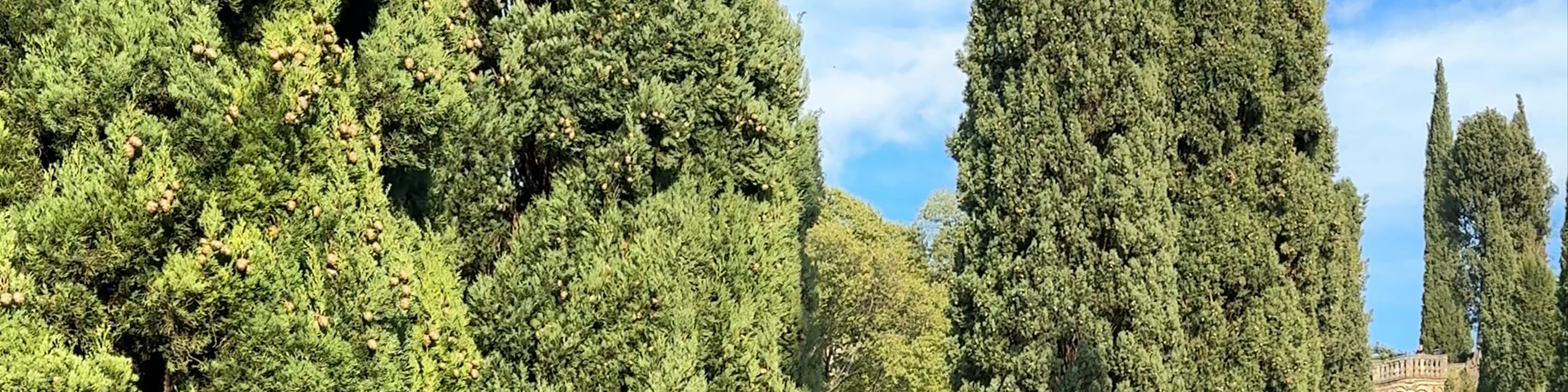 Giardino Giusti