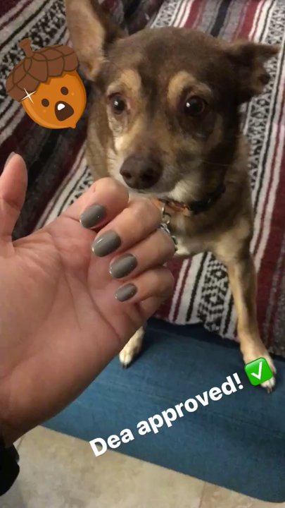 VK Five Points Nails & Spa - Even Dea loved my nails! - Nail Salons Near Me - Jacksonville, Florida