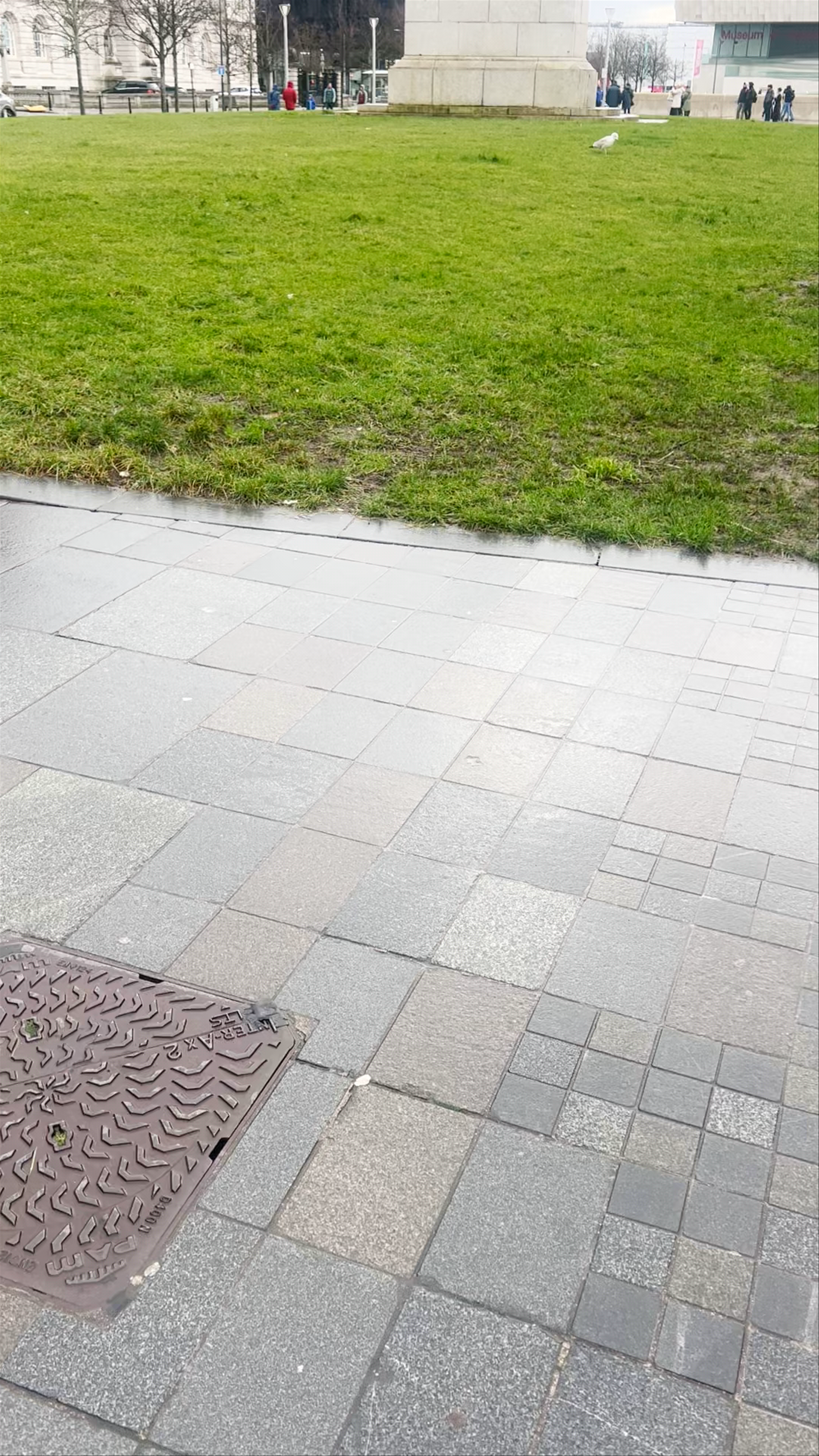 Edward VII Monument in Liverpool: A Historic Urban Landmark