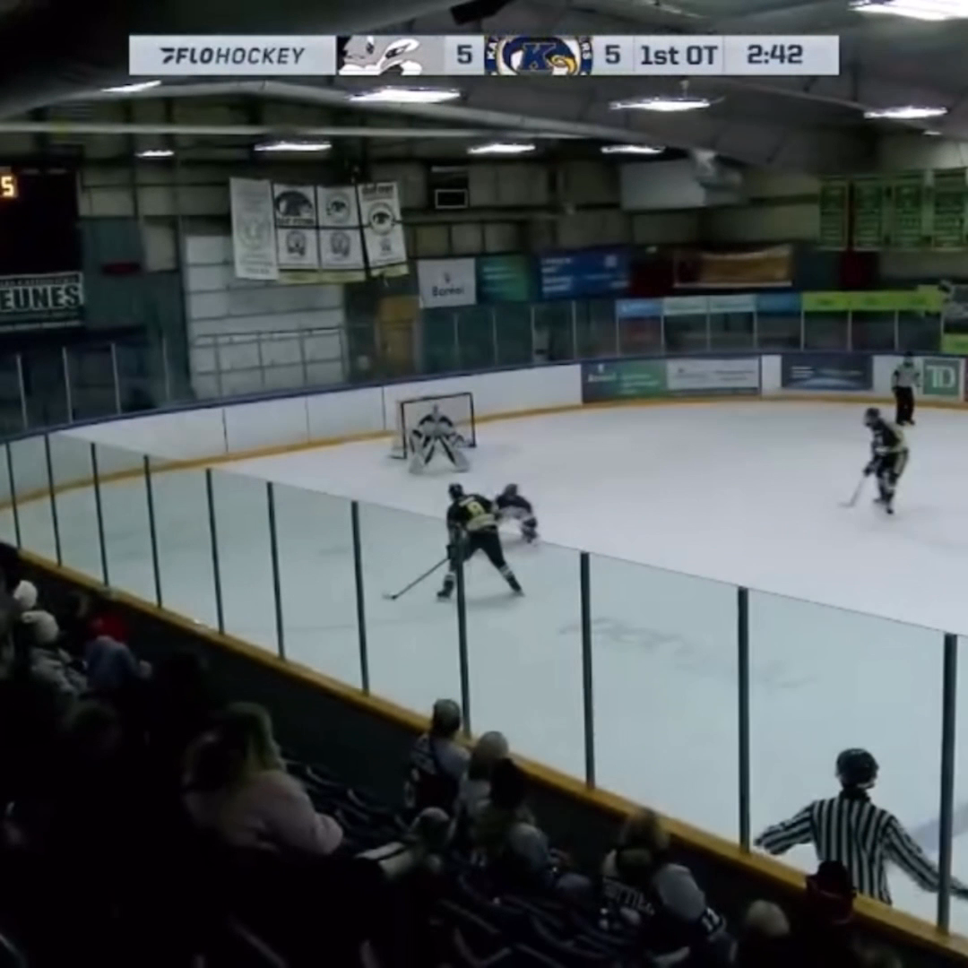 Declan McNamara's Clutch Overtime Saves for Sudbury Wolves
