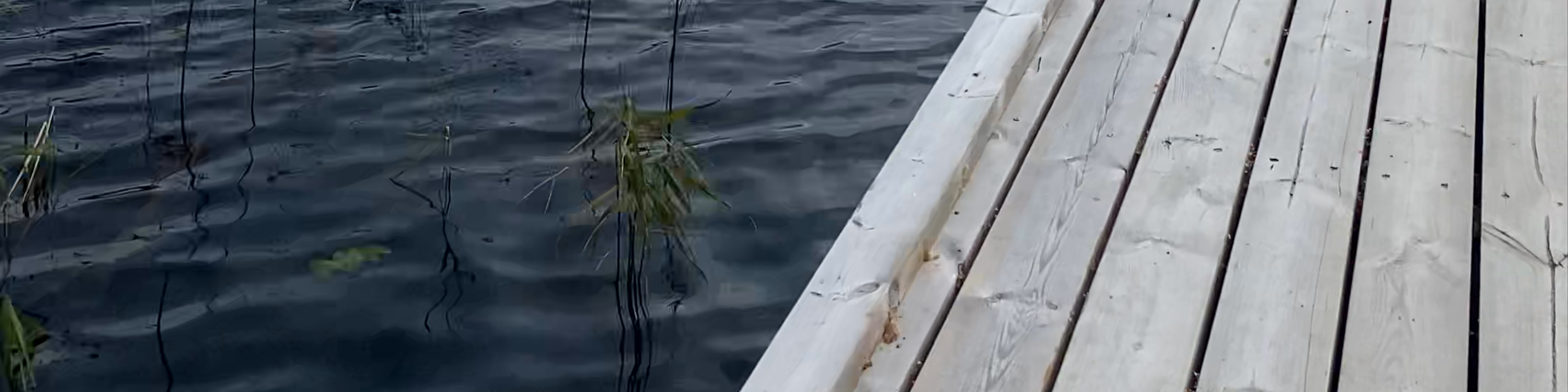 Savonlinna