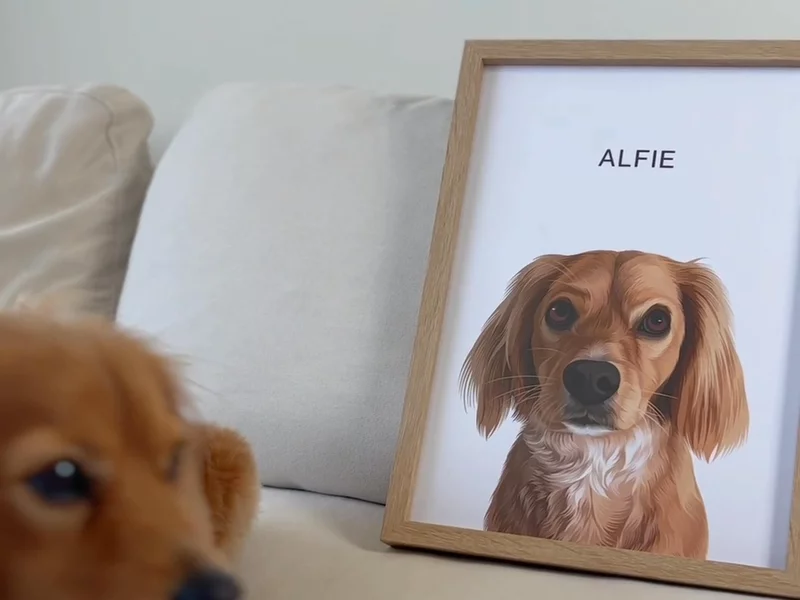 Pet UGC Example Testimonial