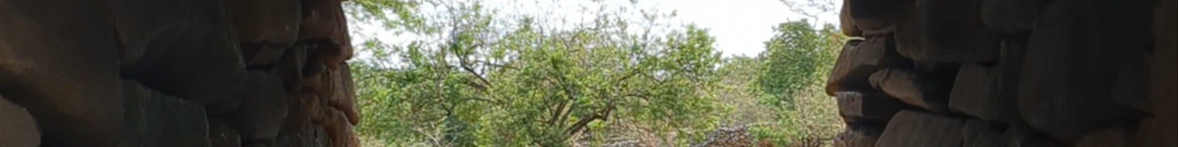 Tours & experiences in Migori