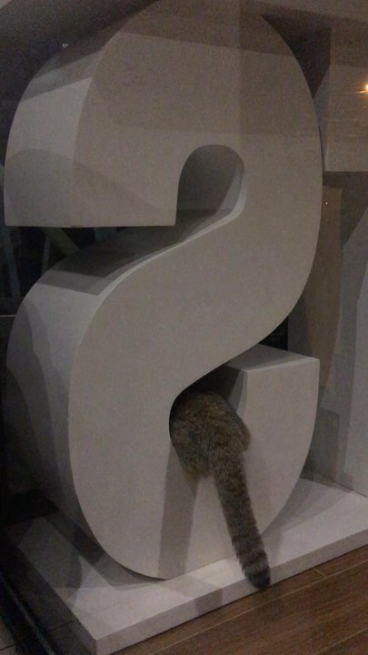 Coffee Cat - Cafes Near Me - Angeles City, PAM