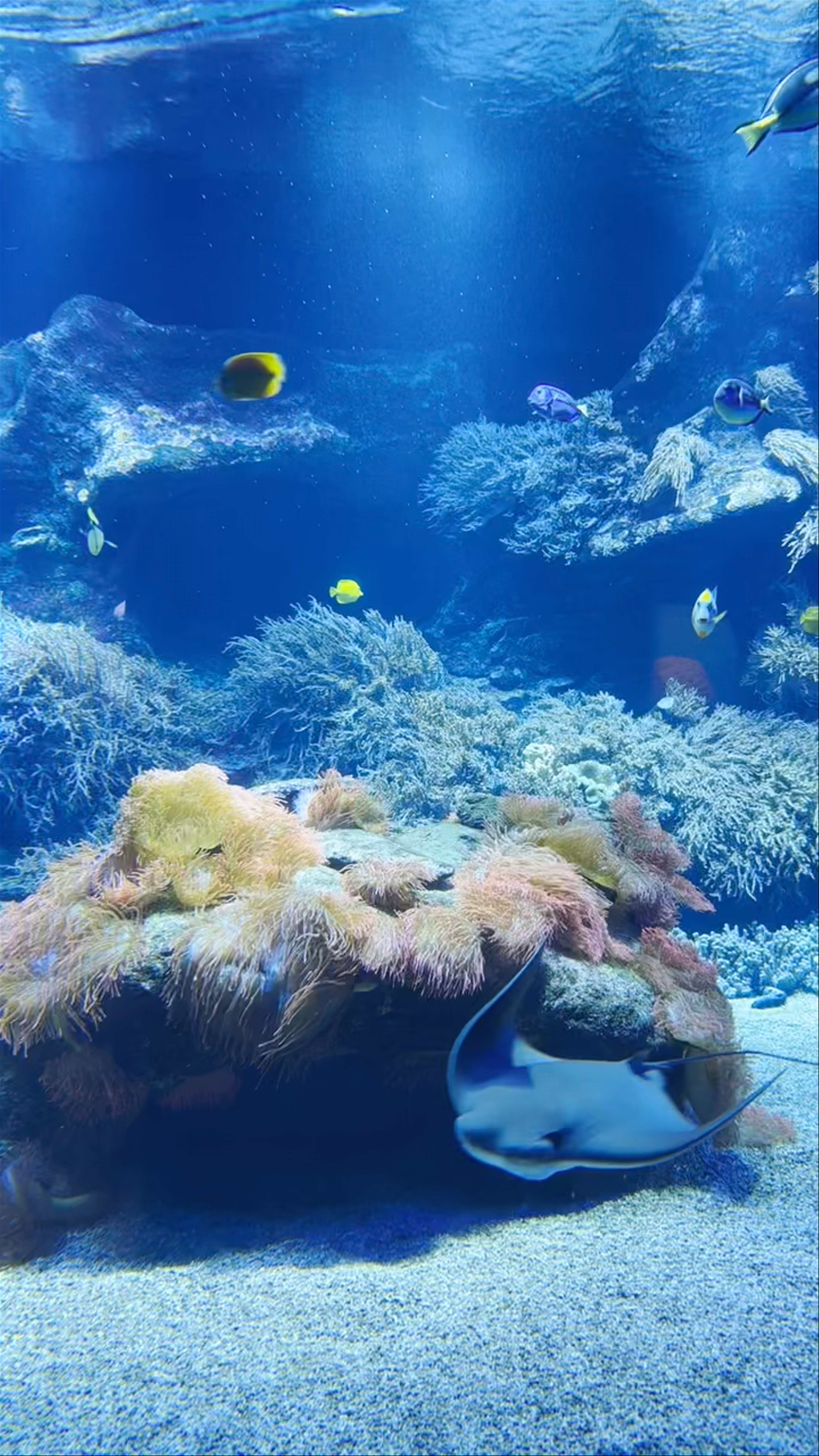 Aquazoo Löbbecke Museum: Underwater Wonders in Düsseldorf