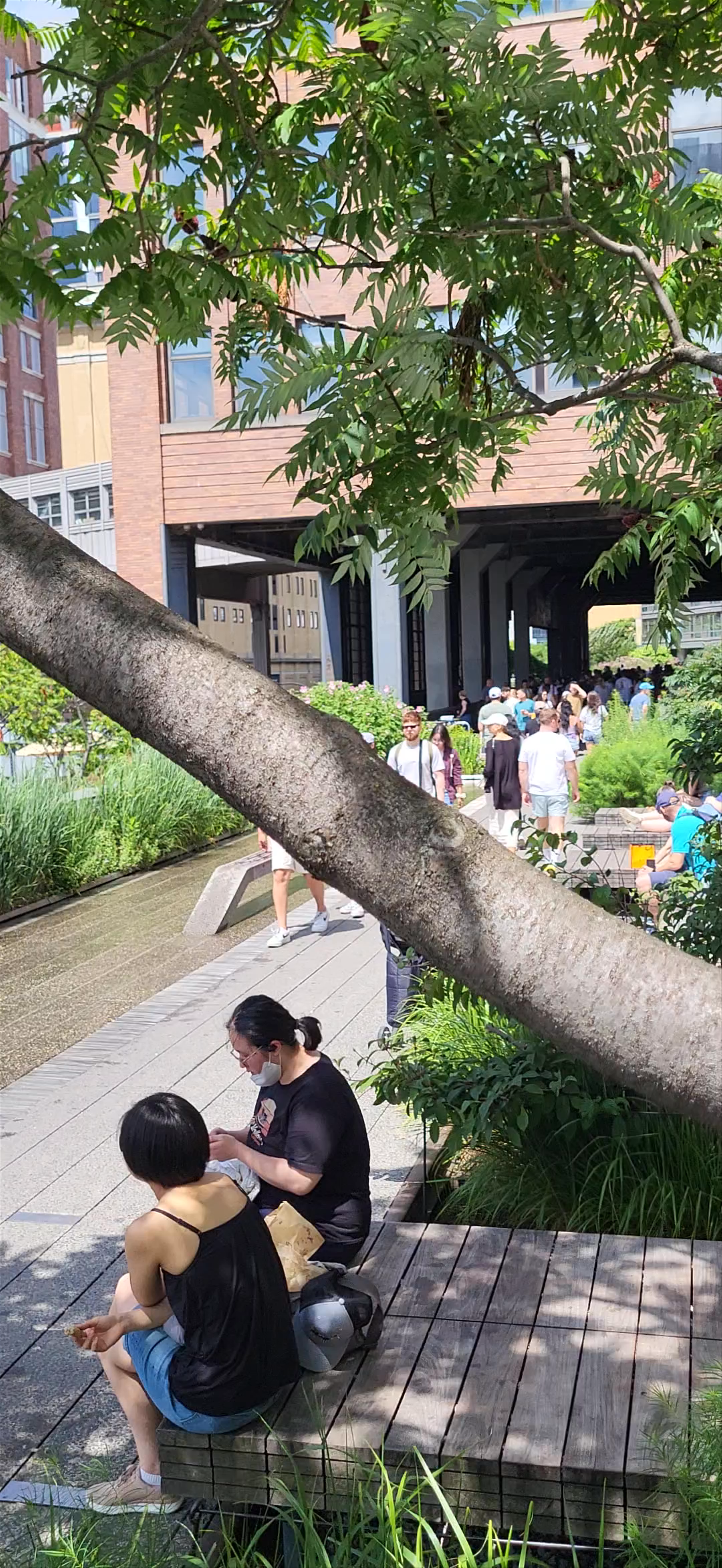 The High Line