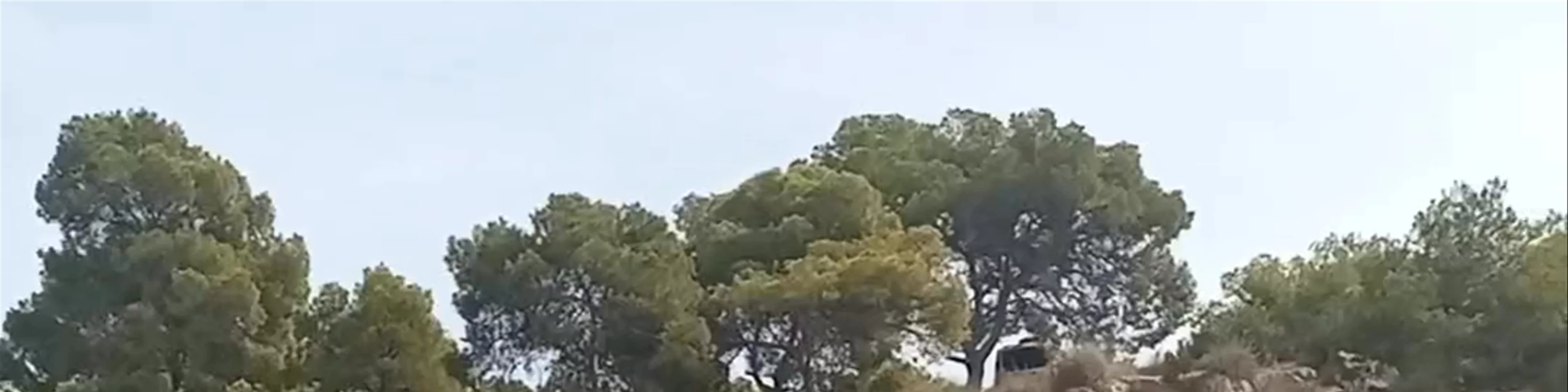 Racó del Conill