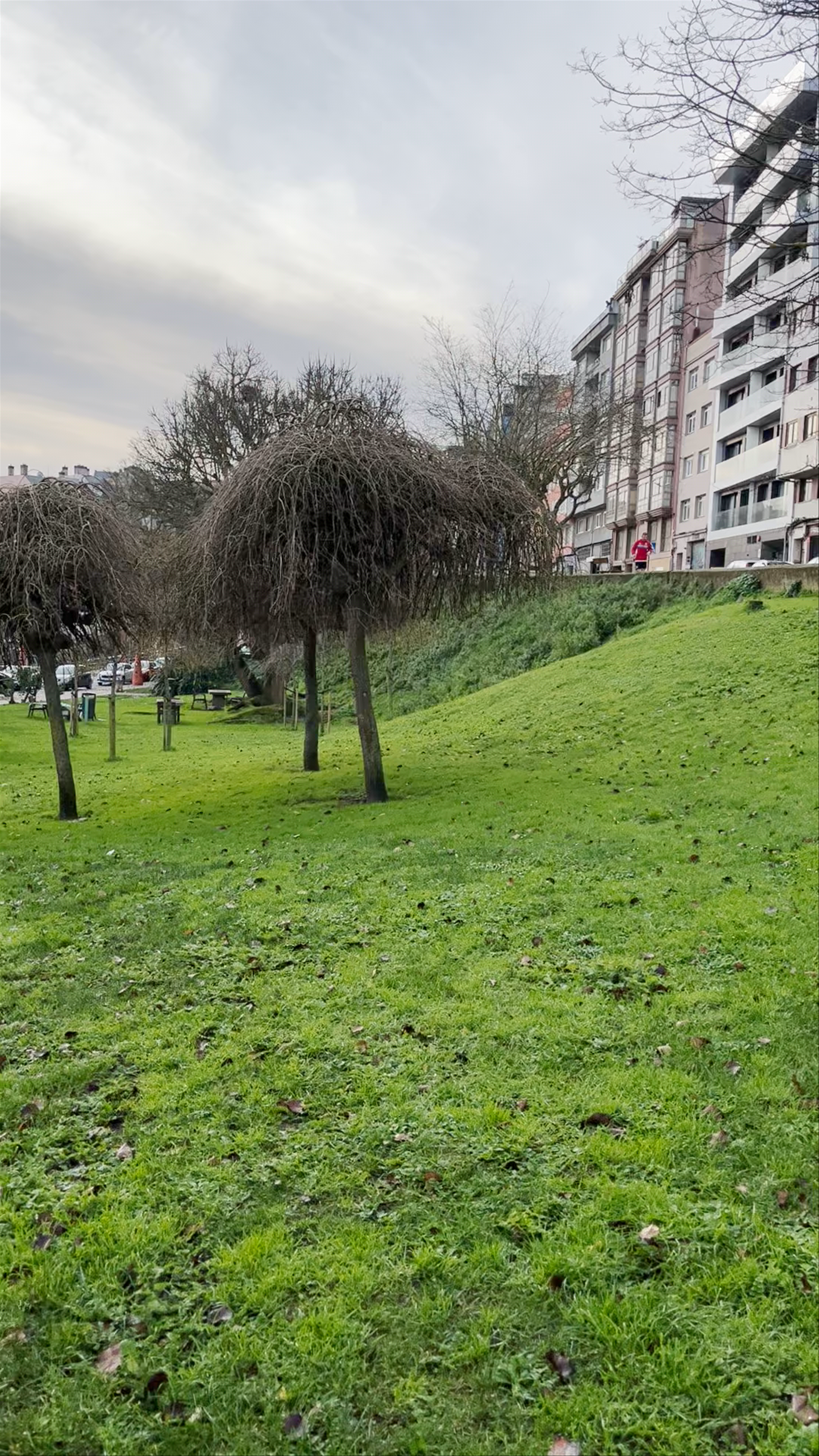 Memorial a las víctimas del fascismo, A Coruña: A Reflective Tribute in Spain