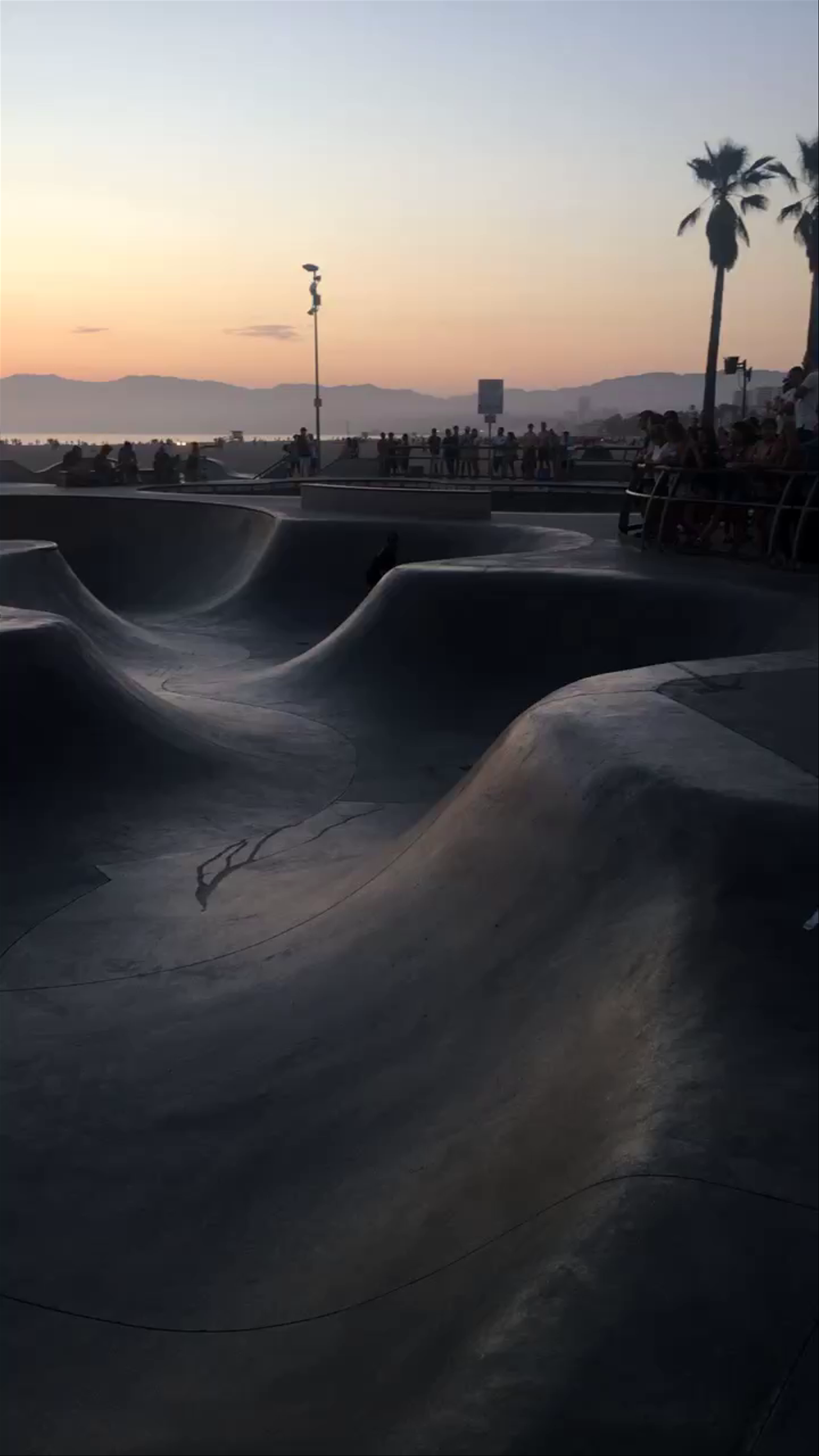 Venice Skate Park at Sunset: Skateboarding Vibes on the California Coast