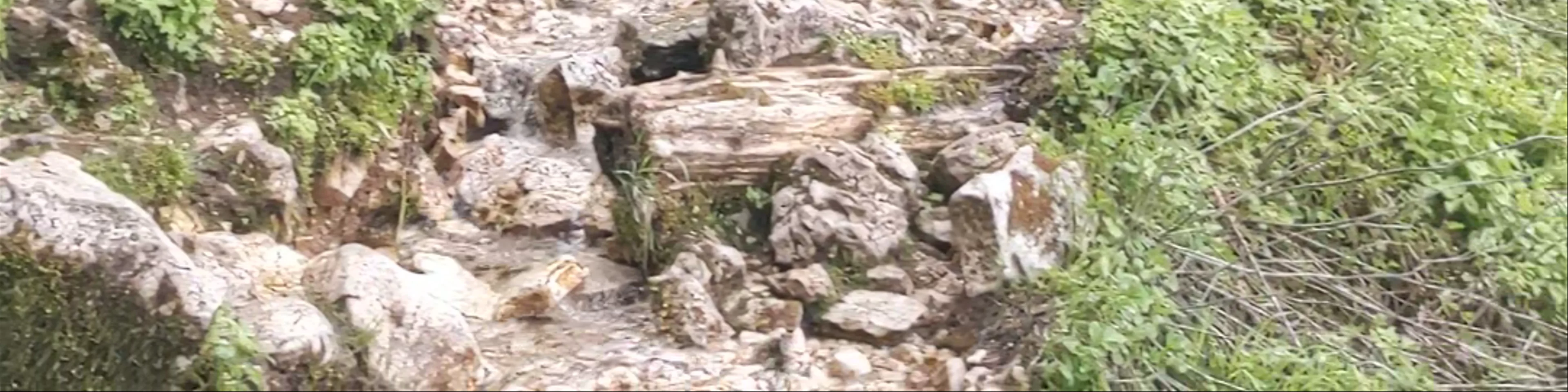 Crno Jezero