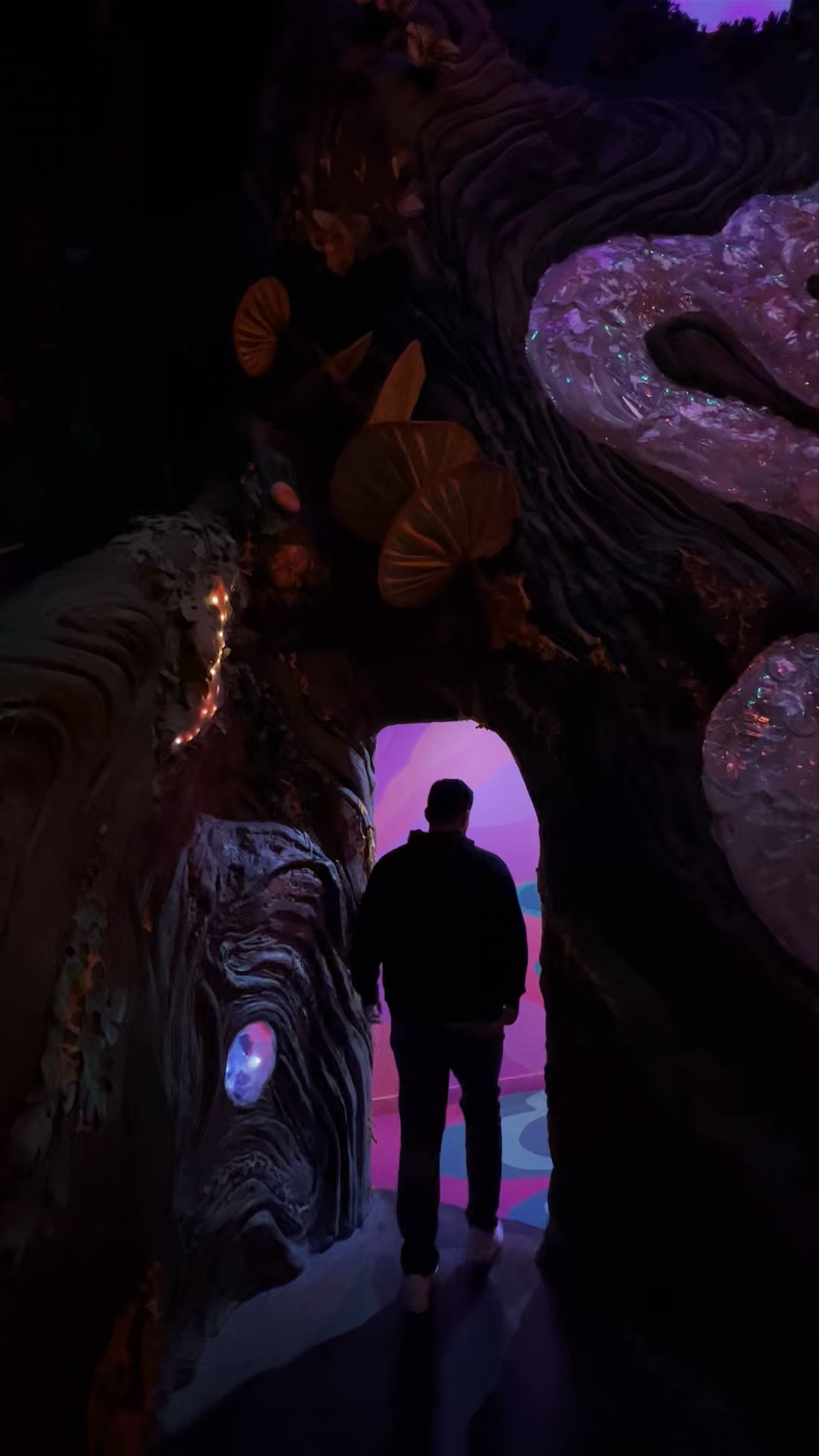 Meow Wolf Denver | Convergence Station