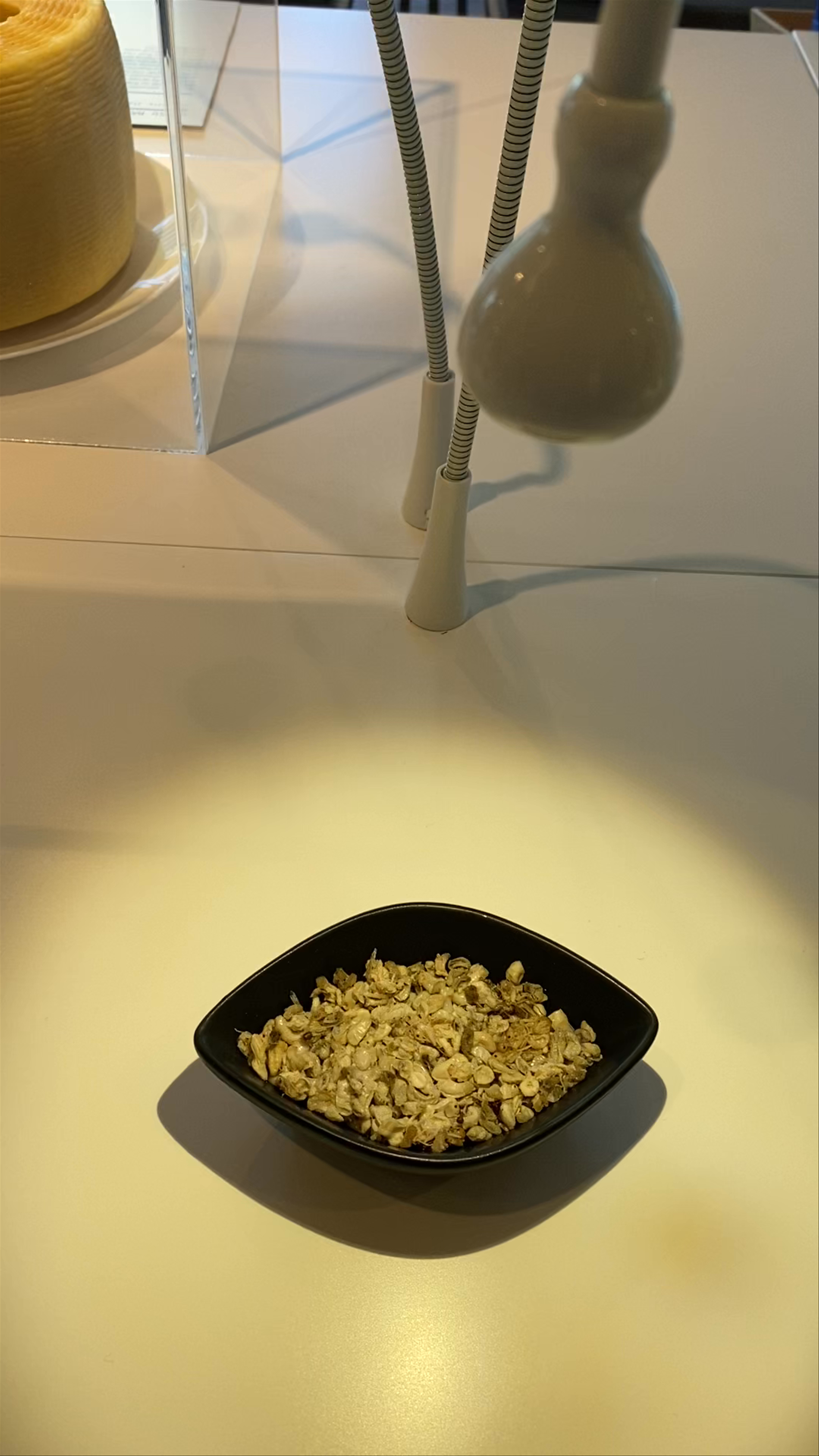 Disgusting Food Museum