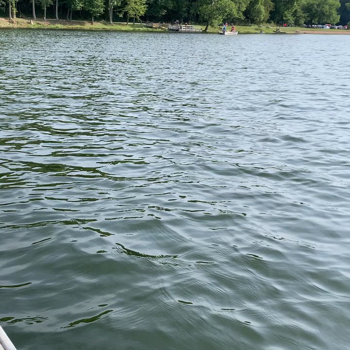 Chain O' Lakes - Beach area - Parks Near Me - Albion, Indiana