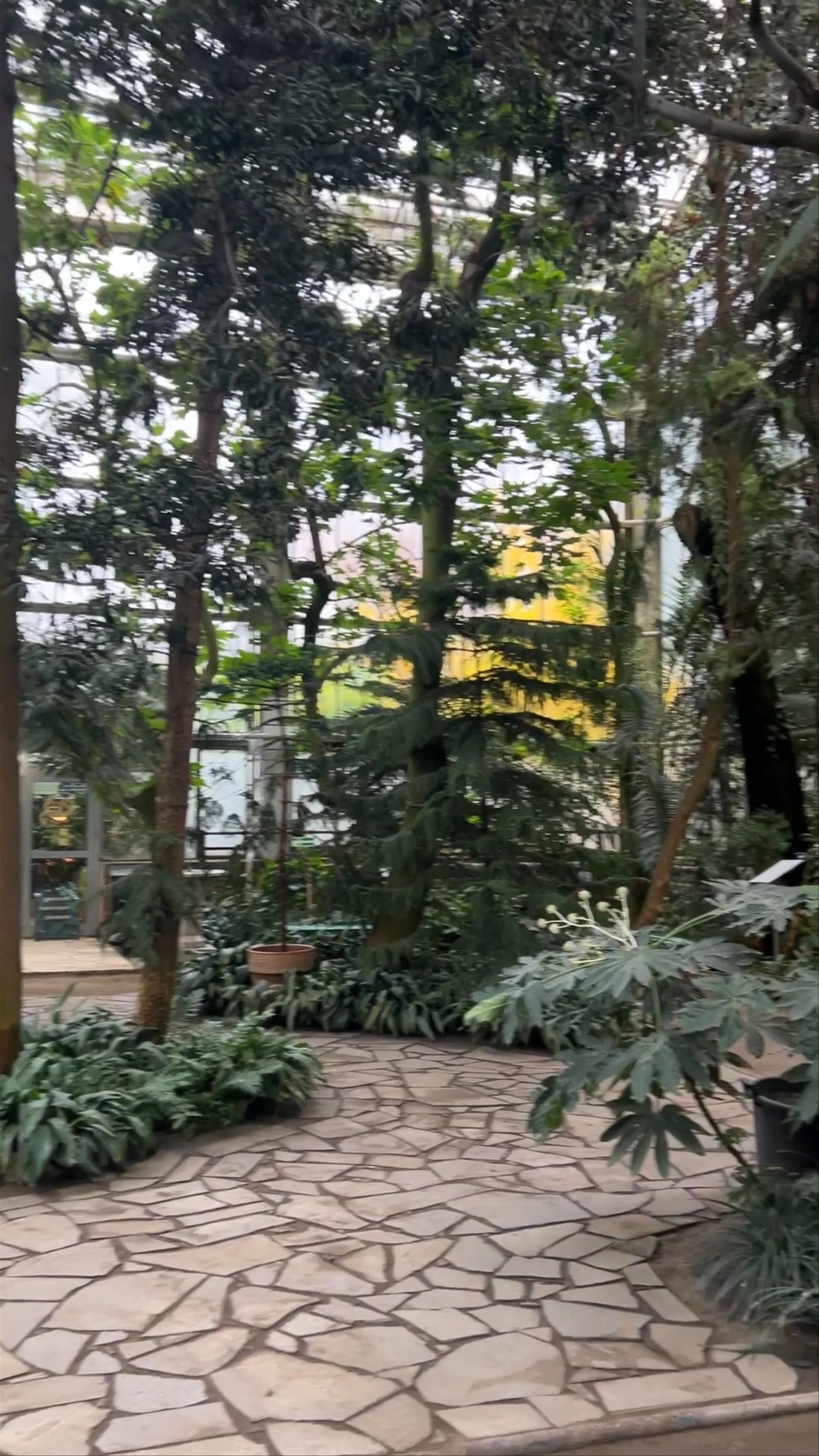 Poznań Palm House