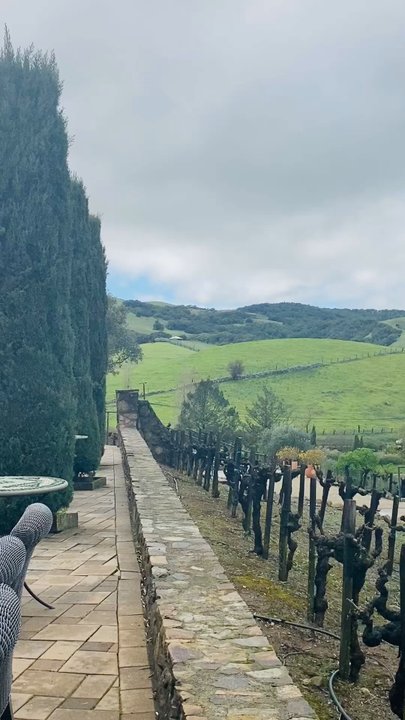 Dingo Tours - Sonoma County Viansa vineyard - Travel Services Near Me