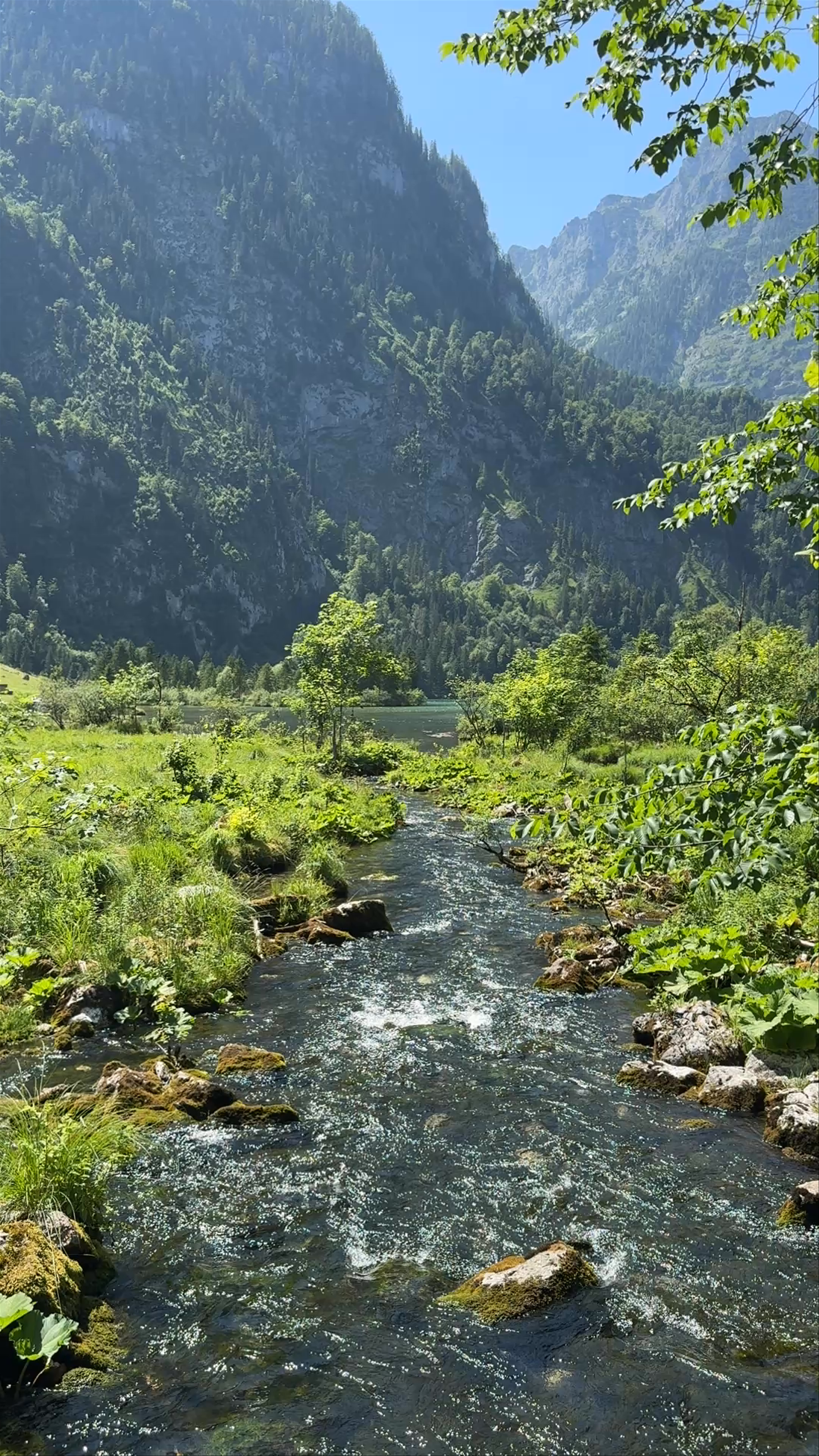 Königssee Serenity: Crystal Clear Alpine Stream in Bavaria