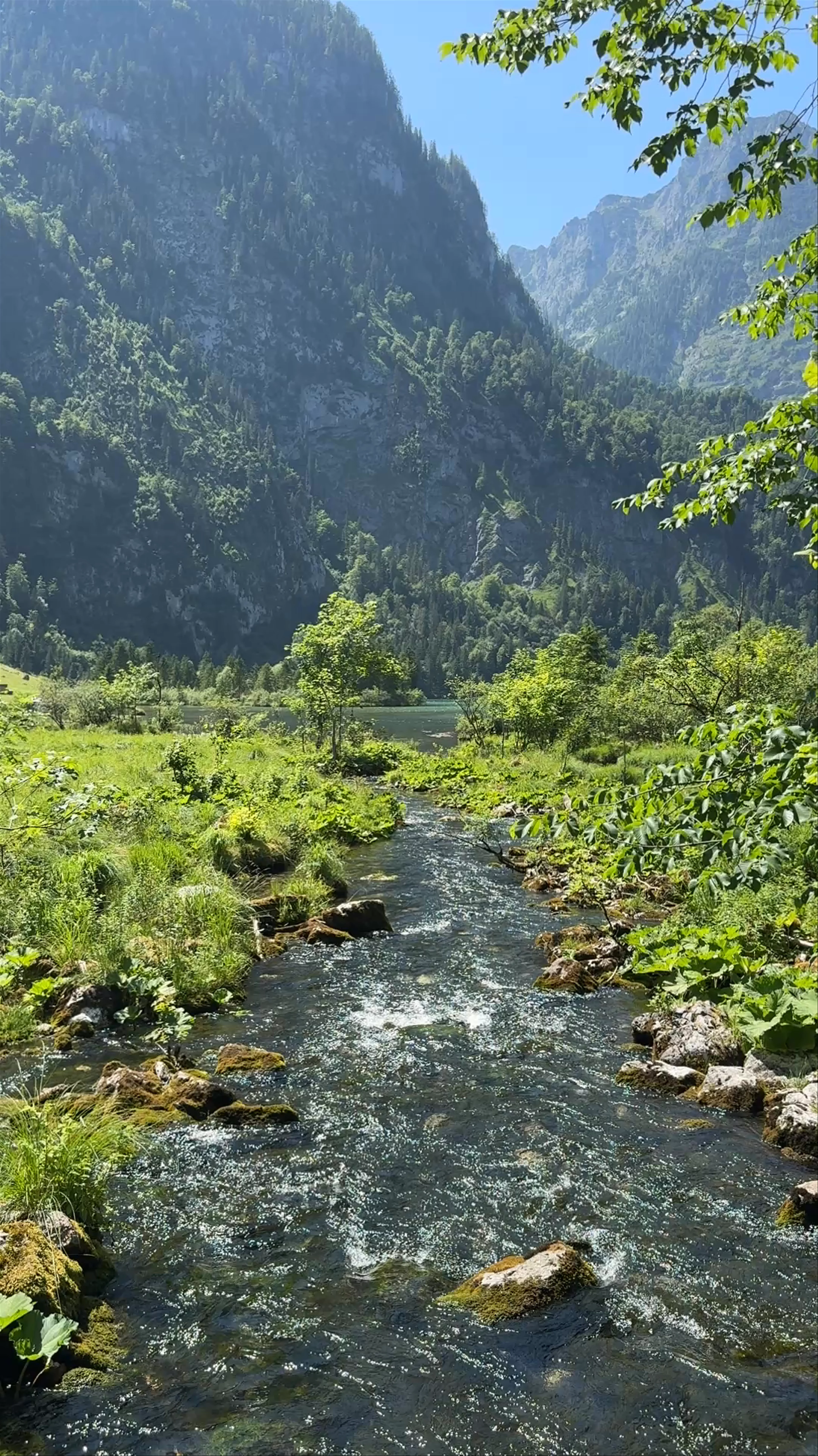 Königssee