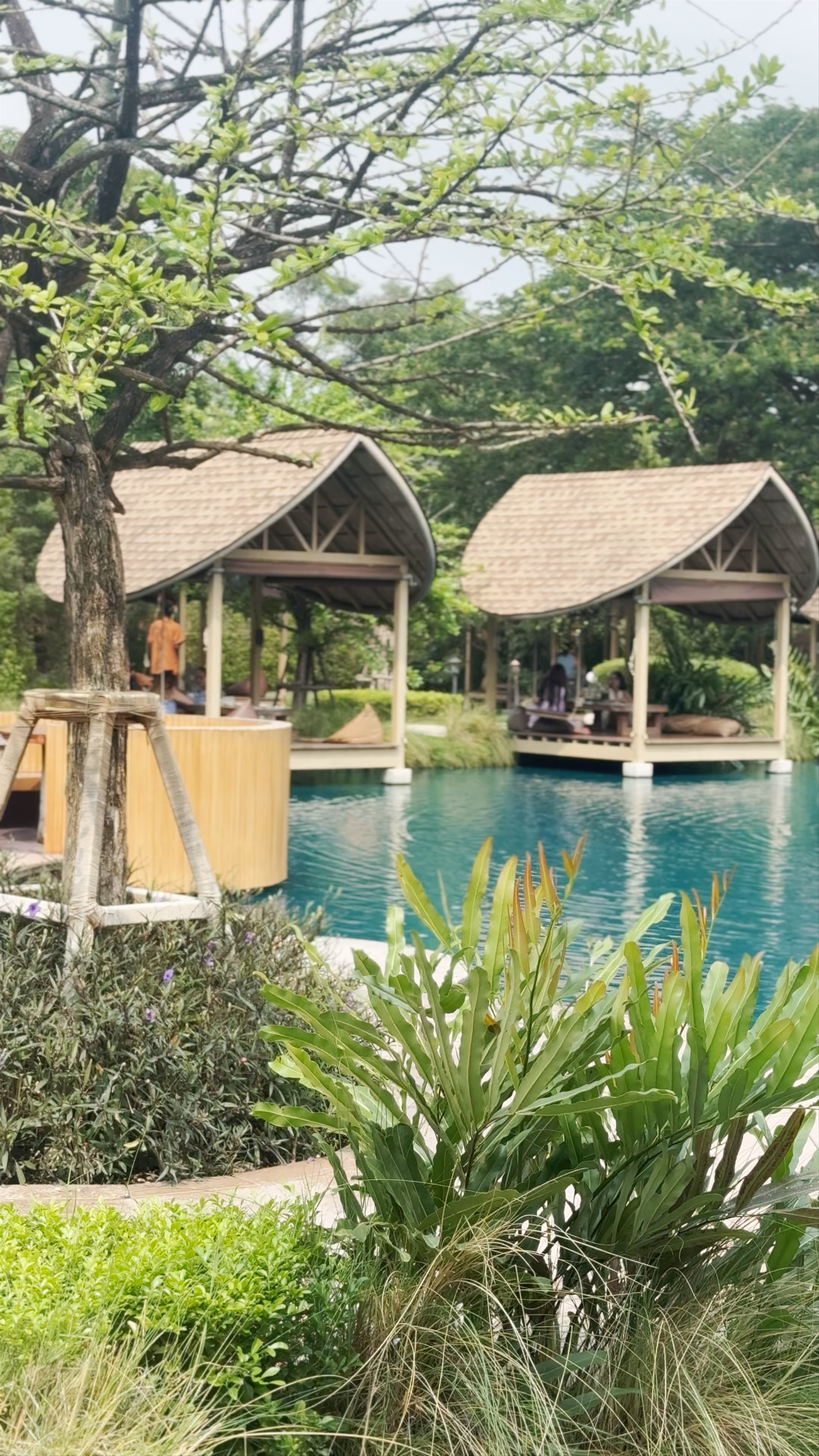 Bubble in the Forest Cafe: Serene Waterside Retreat in Nakhon Pathom, Thailand
