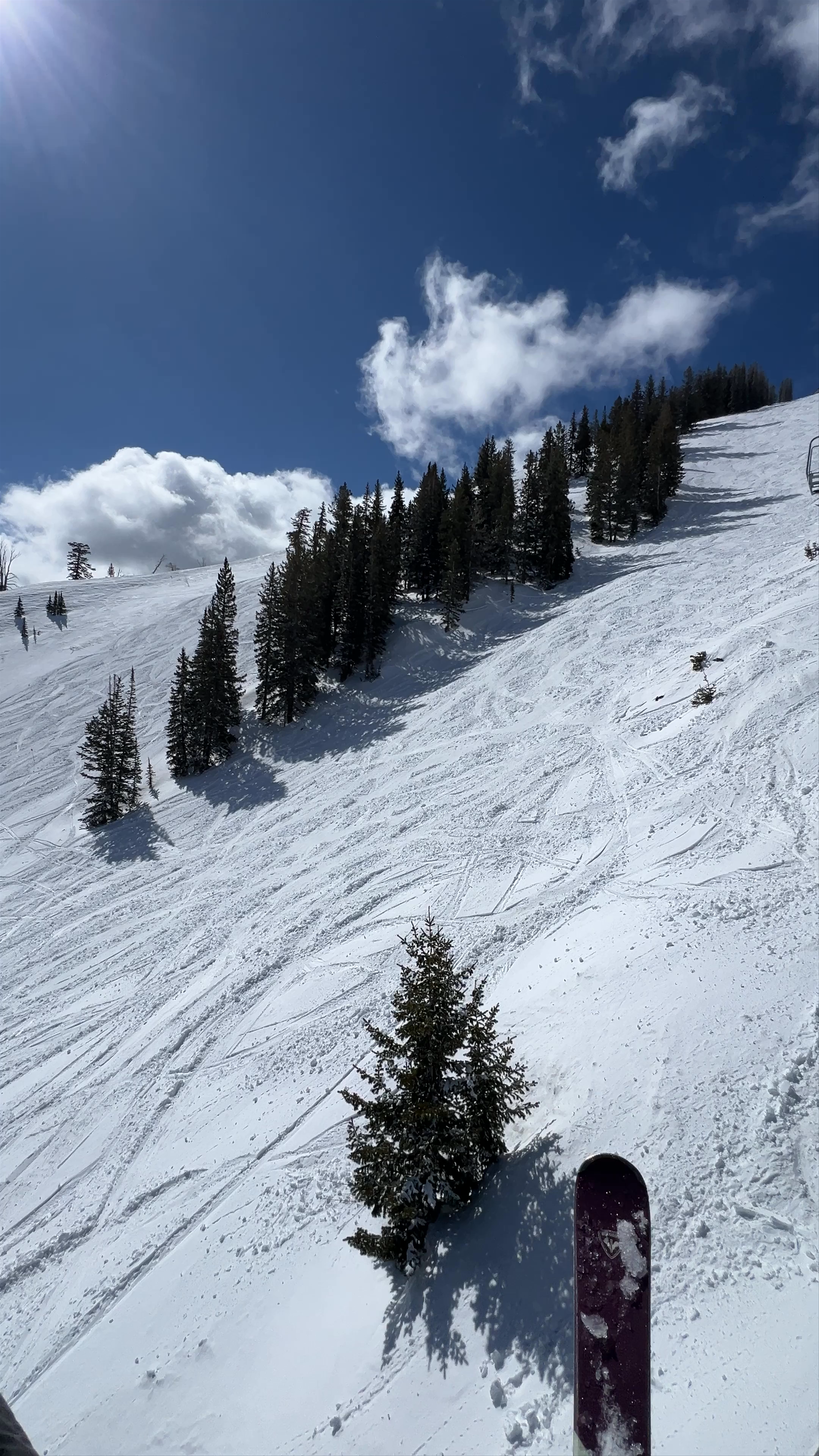 Solitude Mountain Resort Ski Adventure in Big Cottonwood Canyon