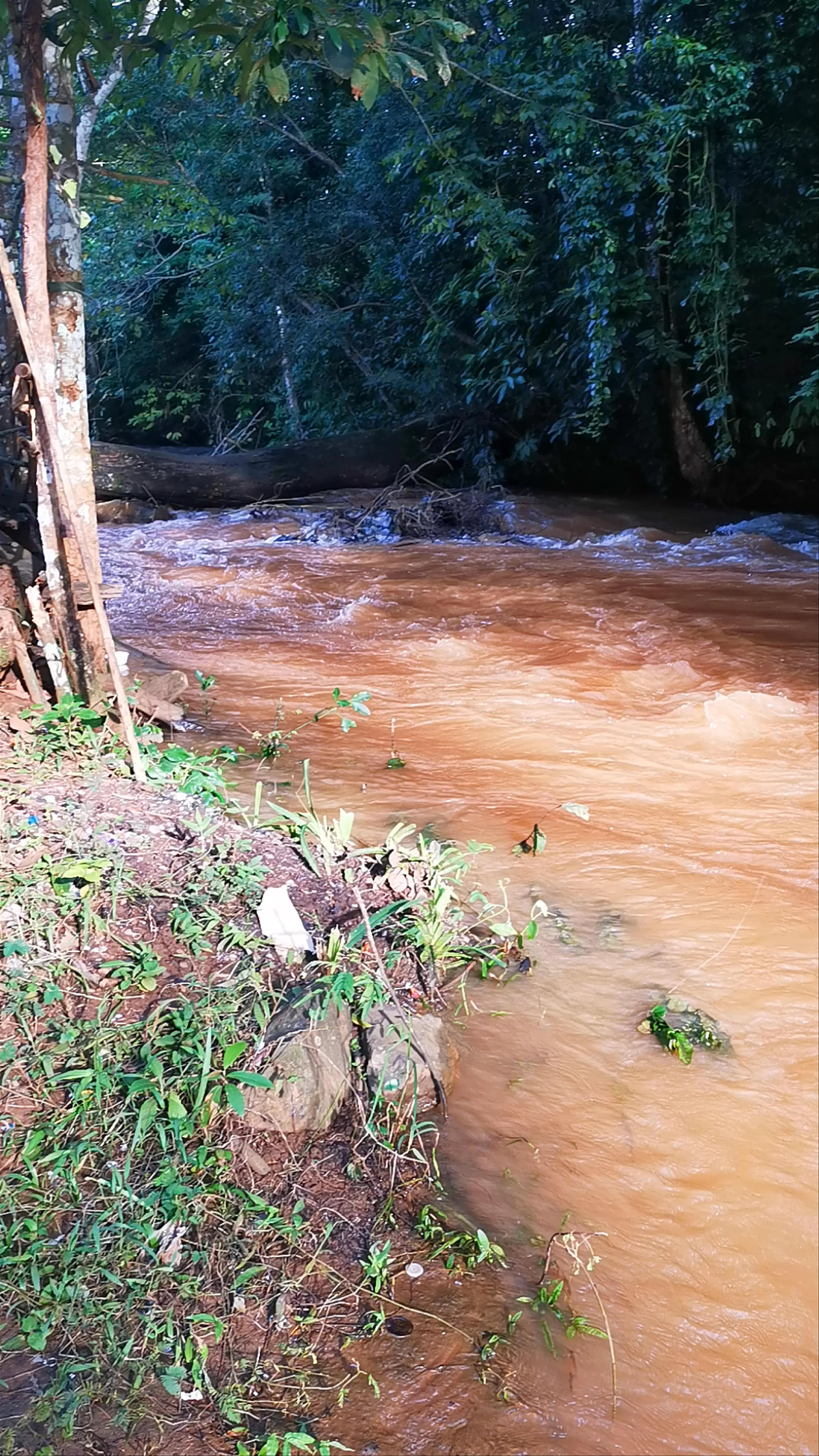 Sen Monorom Waterfall