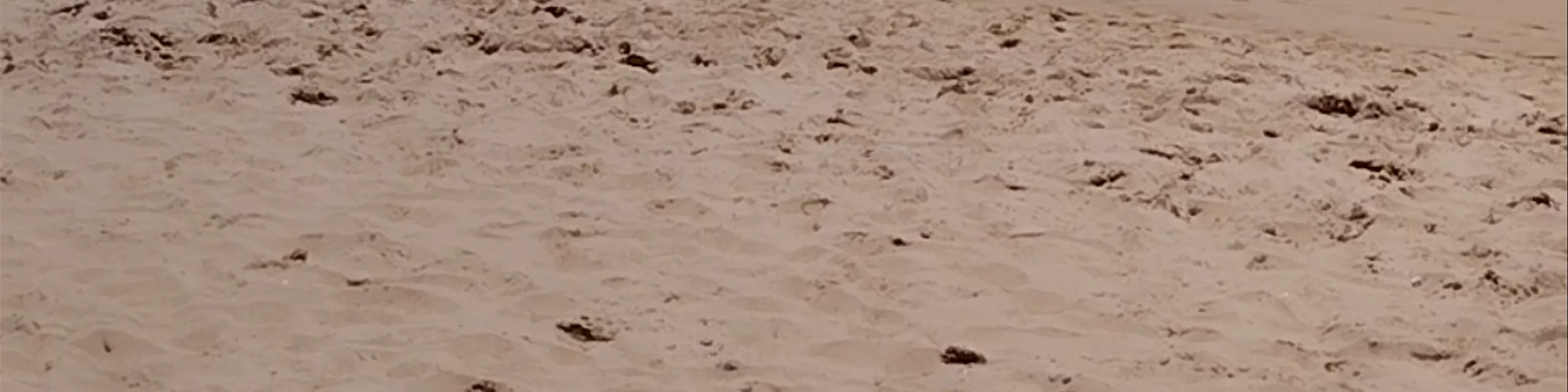 Hikkaduwa Beach