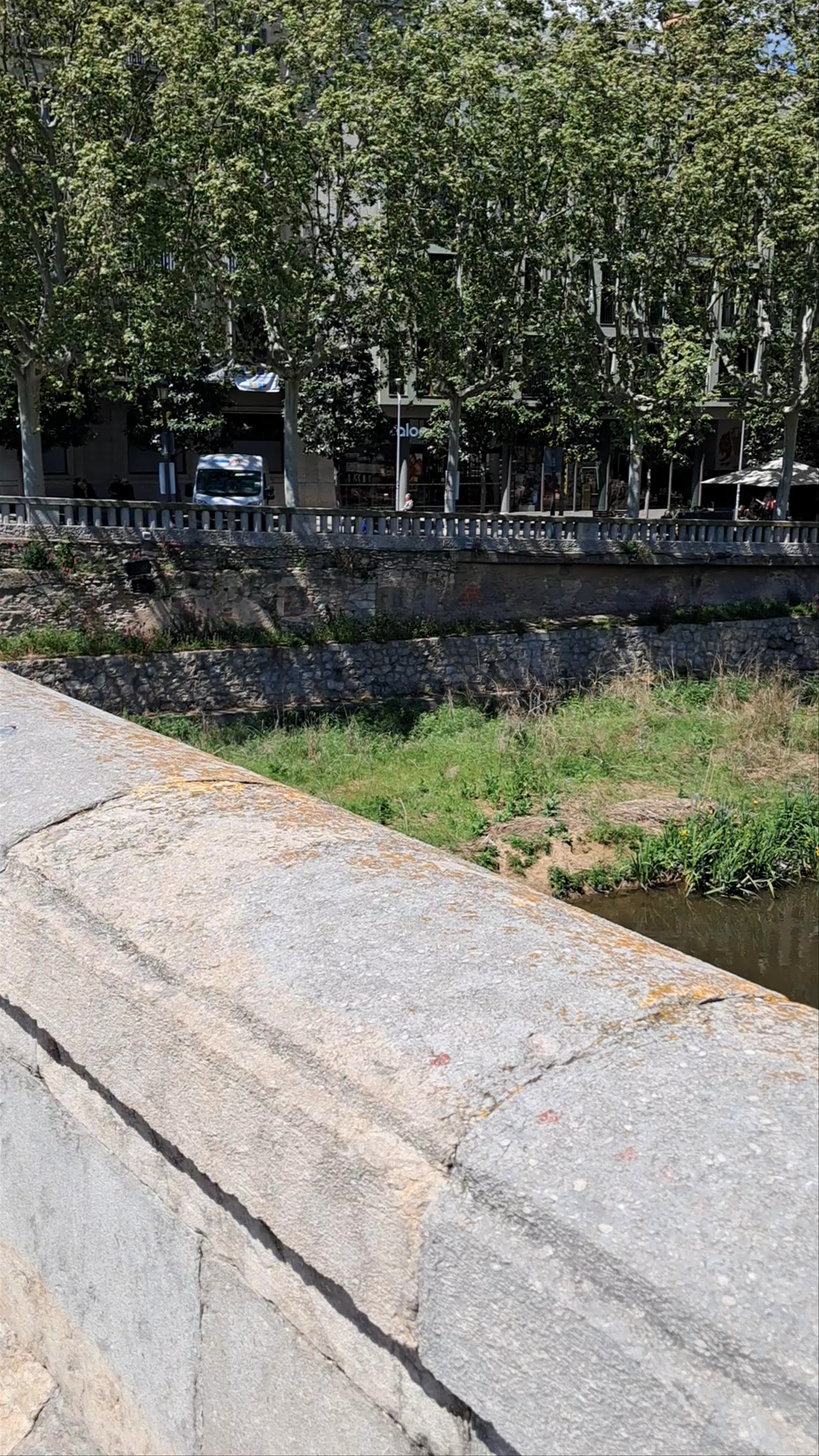 Pont de les Peixateries Velles