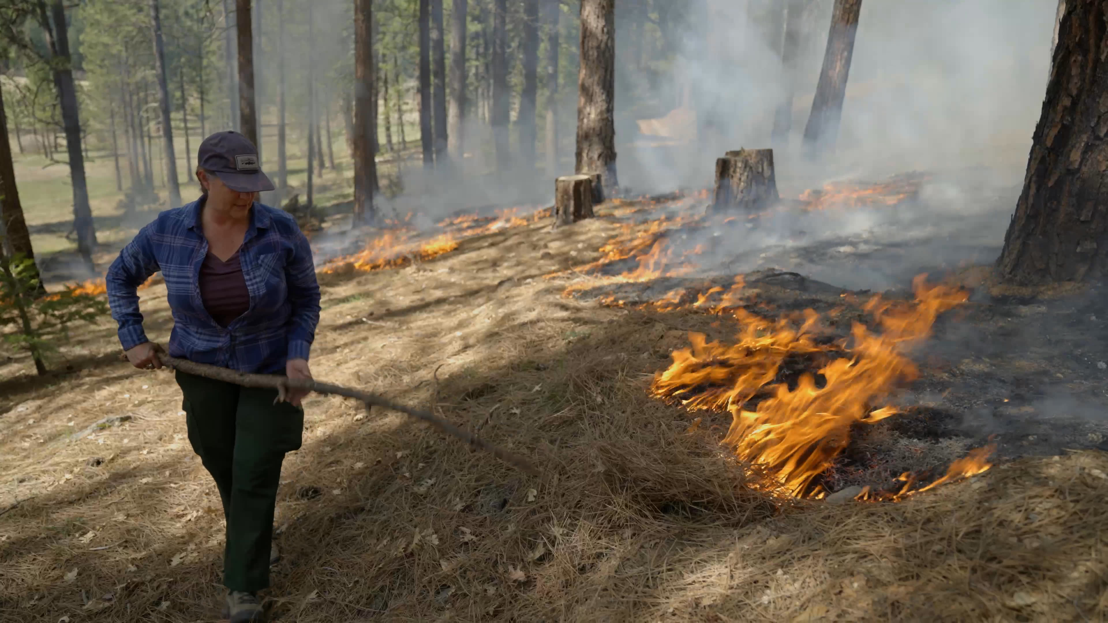 A forest worker moves through a smoky pine woodland as a low-intensity prescribed fire burns across the ground. She describes the work as exhilarating and rejuvenating, and values learning fire behavior while reducing the risk of a severe wildfire in the landscape.