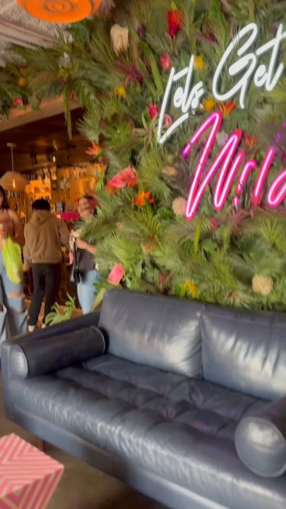 Wild - Coffee & Tea Near Me - Houston, Texas