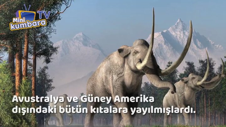 thumbnail Mamutlar