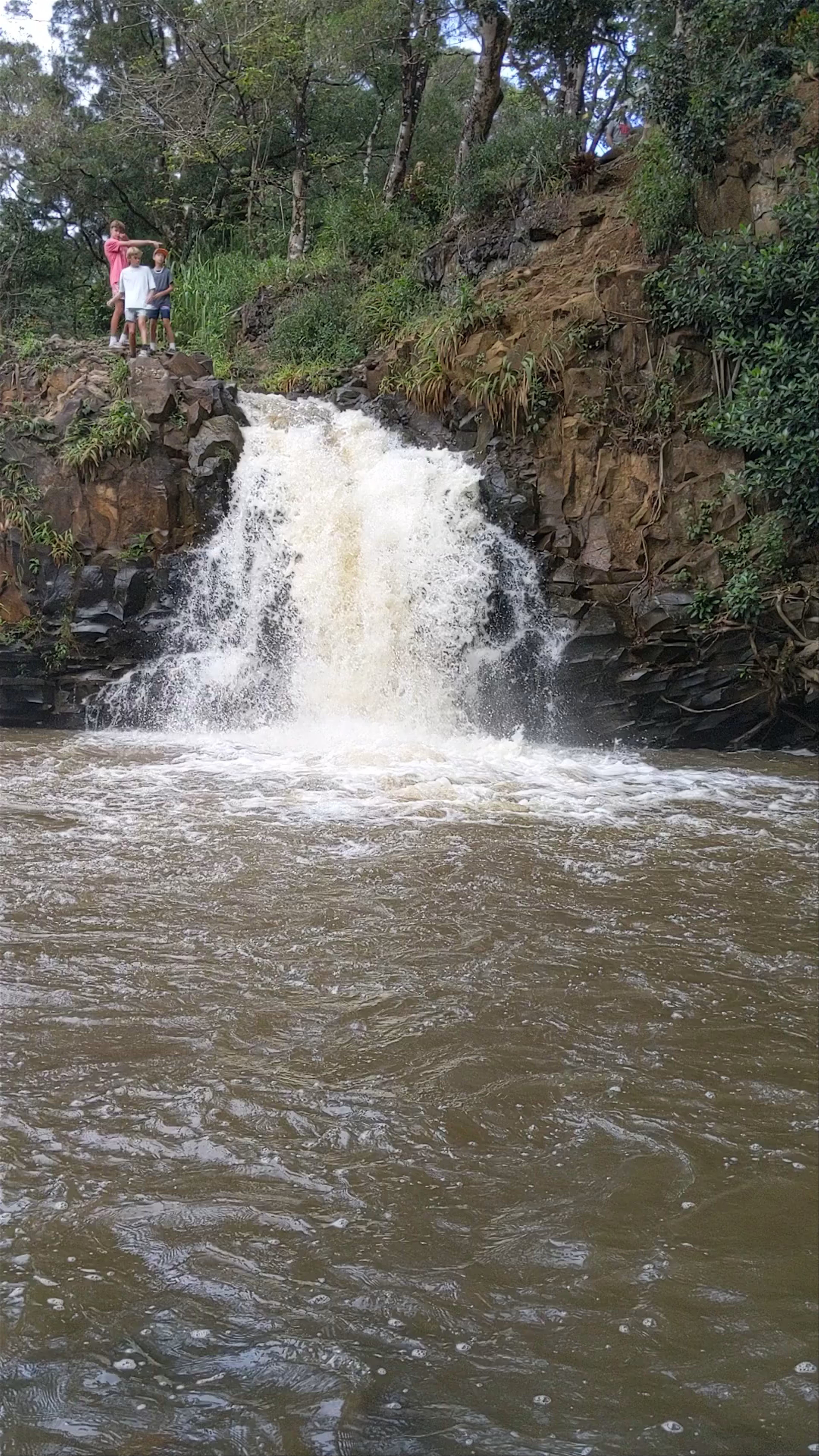 Twin Falls Maui Waterfall