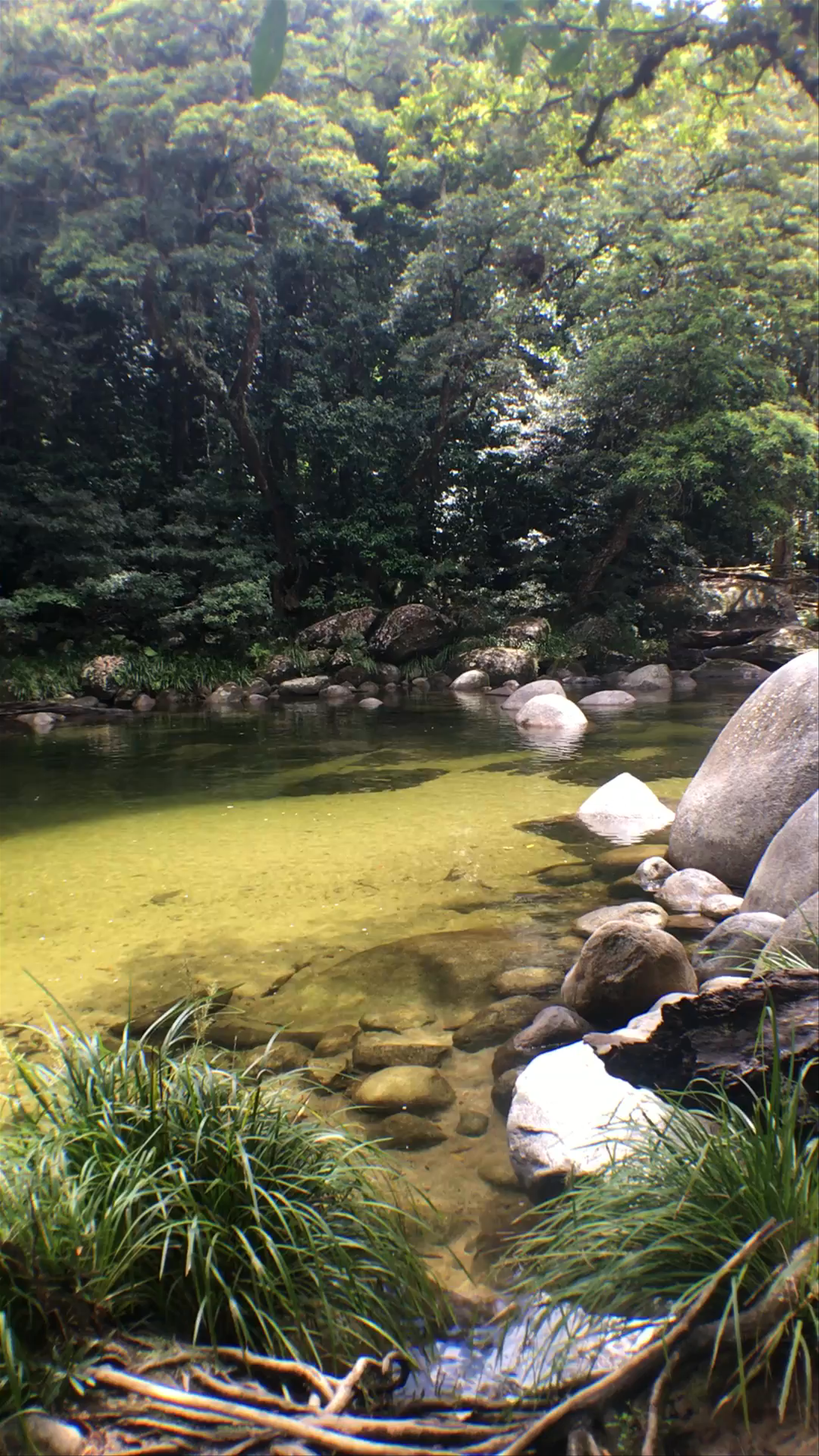 Mossman Gorge