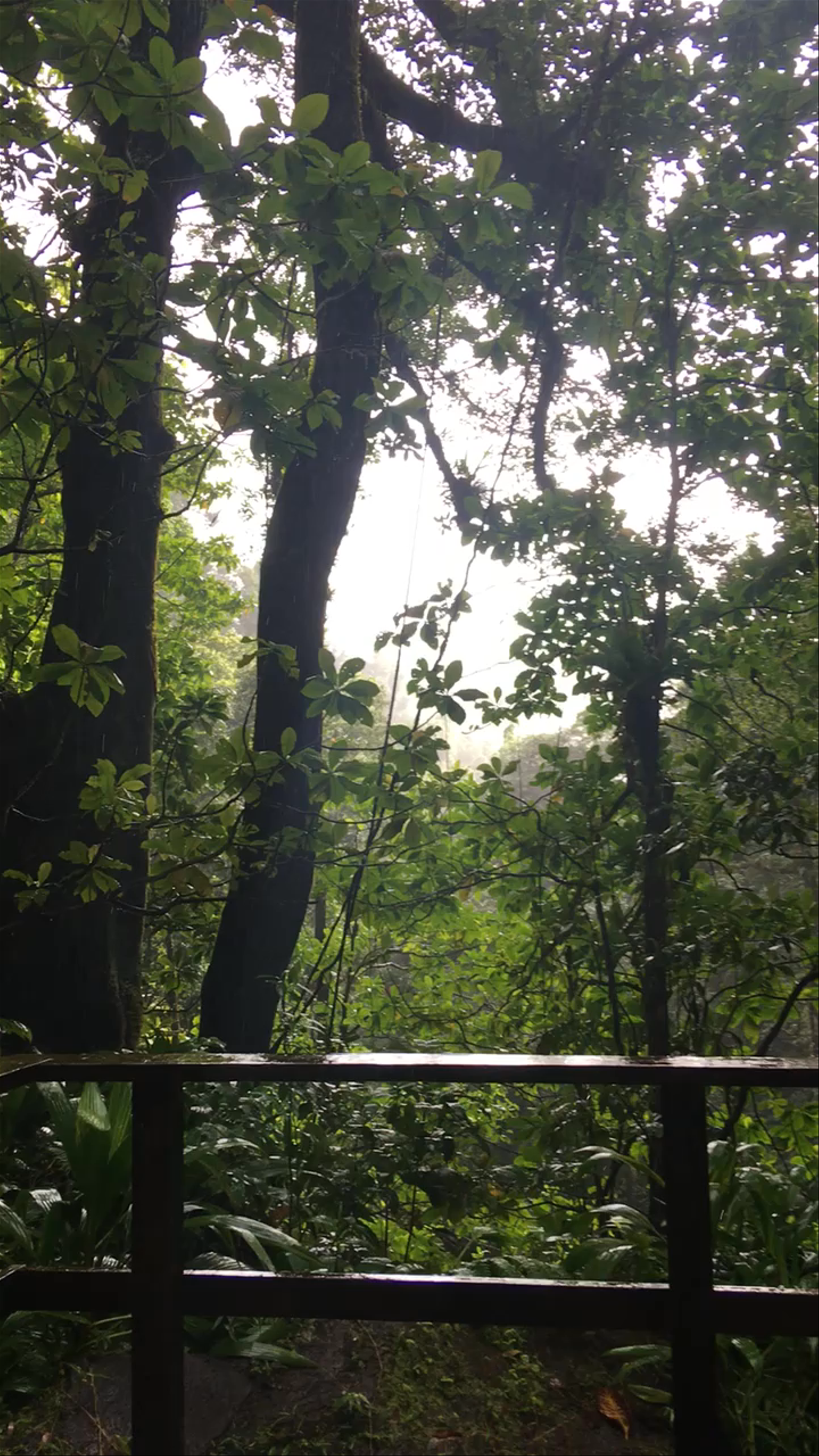 Middleham Falls Dominica