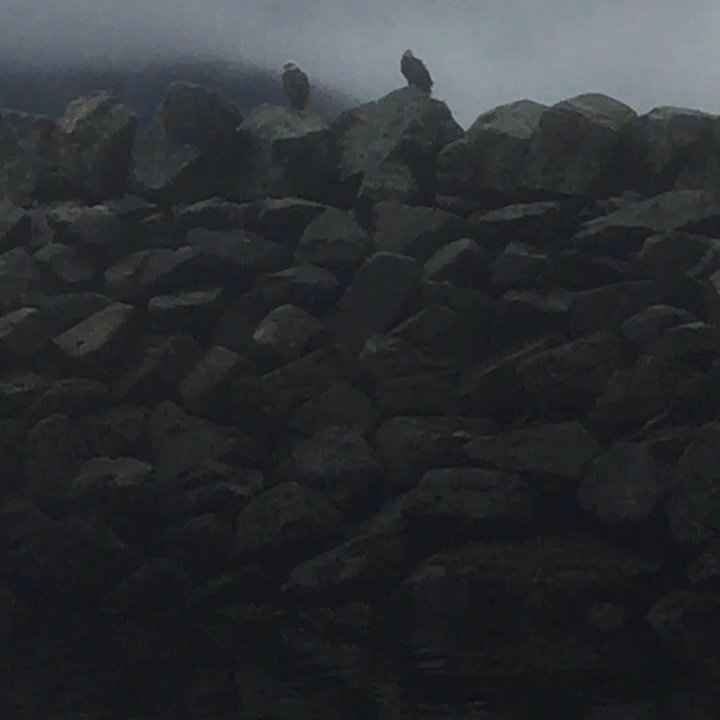 Sourdough Cab - Eagles - Taxis Near Me - Ketchikan, Alaska