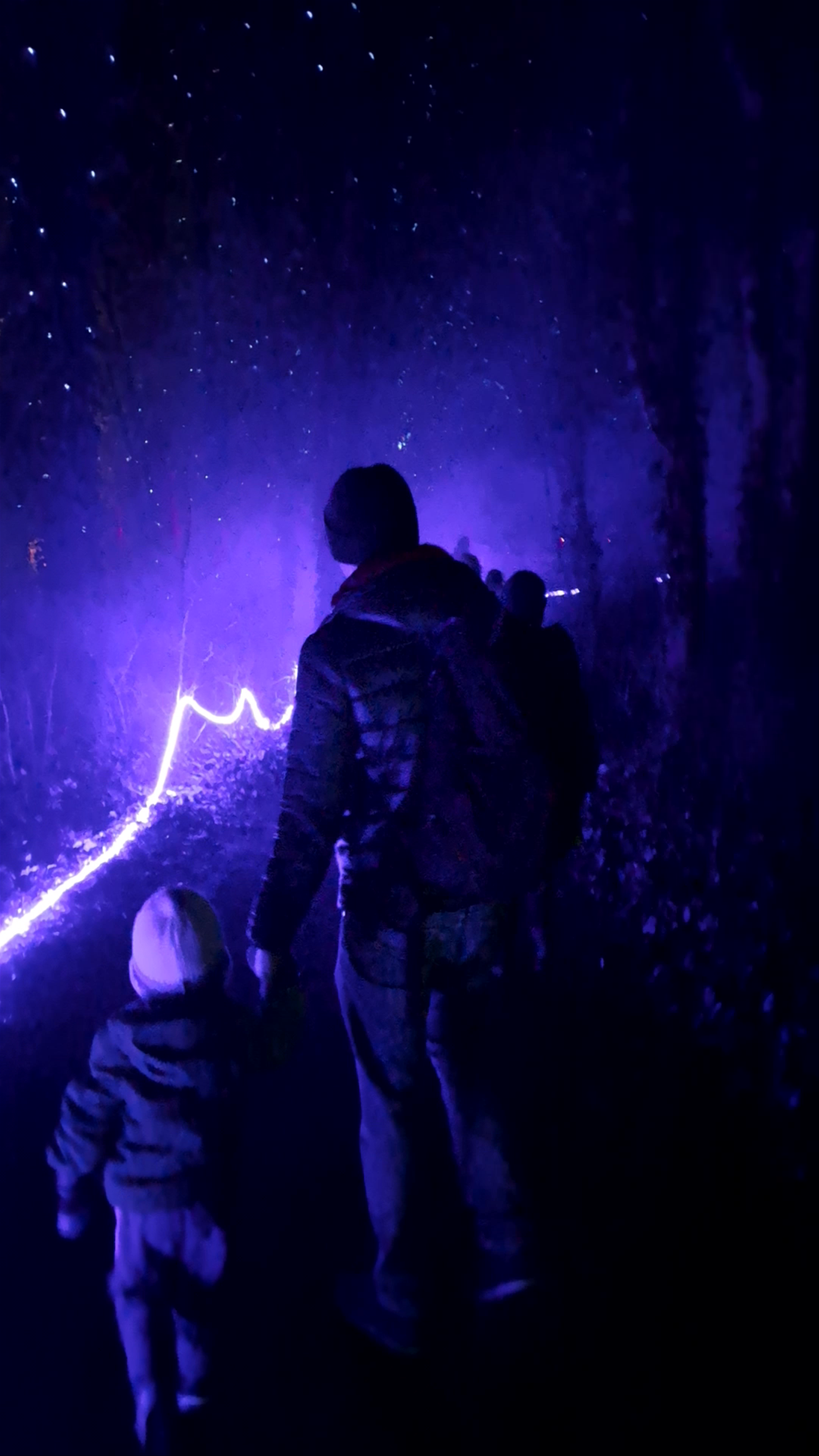 Lumina Park After Dark: A Magical Night Walk in Poznań