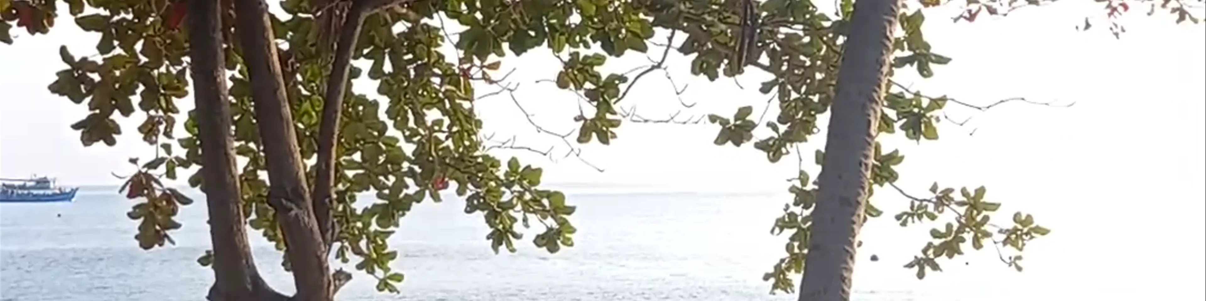 Chalok baan kao bay