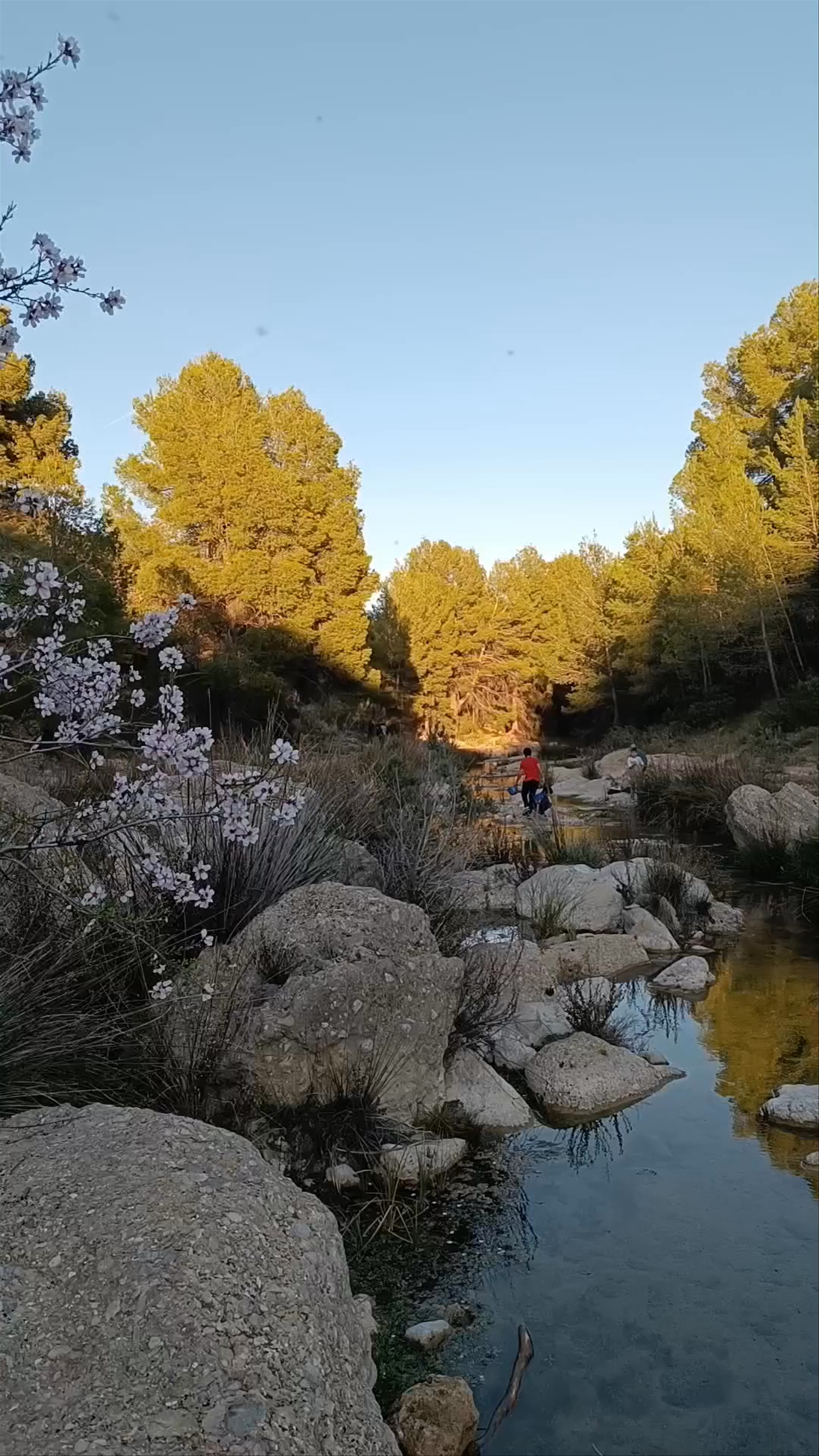 Paraje Fuente de Mula