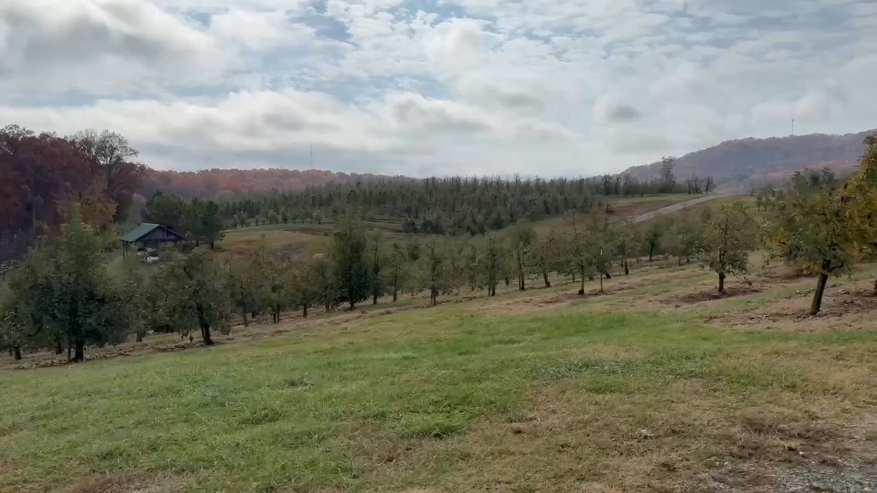 Mercier Orchards - Bakeries Near Me - Blue Ridge, Georgia