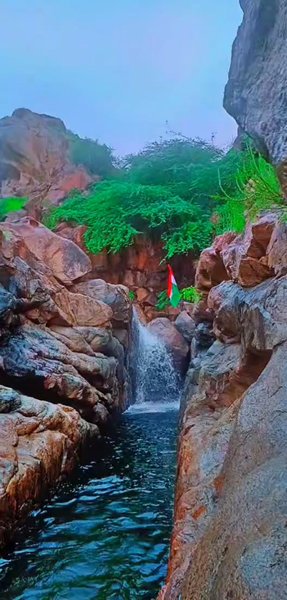 Photo of Hiking Surprise 