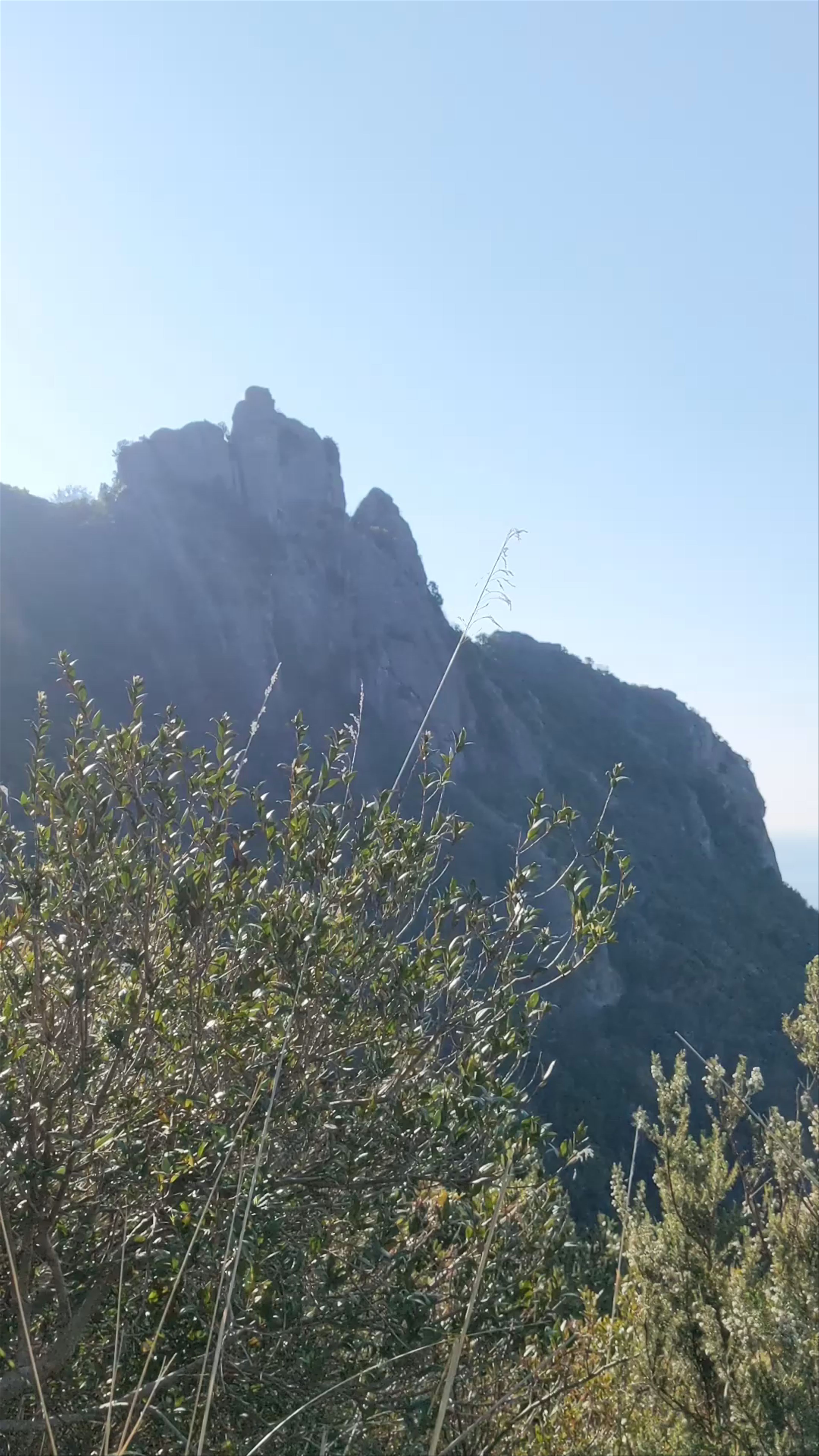 Punta Chiappa Batteries