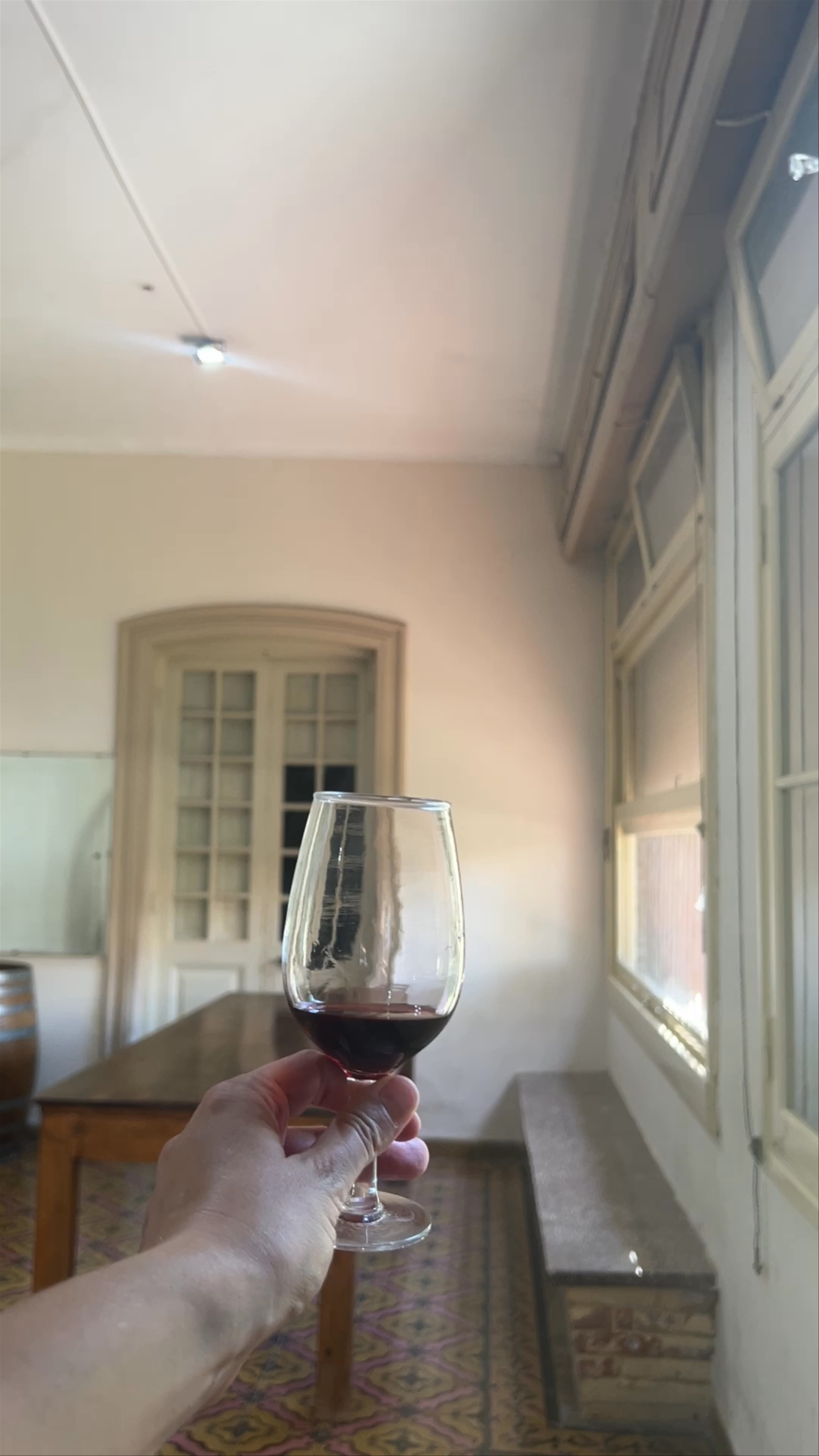 Wine Tasting Experience at Cavas De Don Arturo in Lunlunta, Mendoza