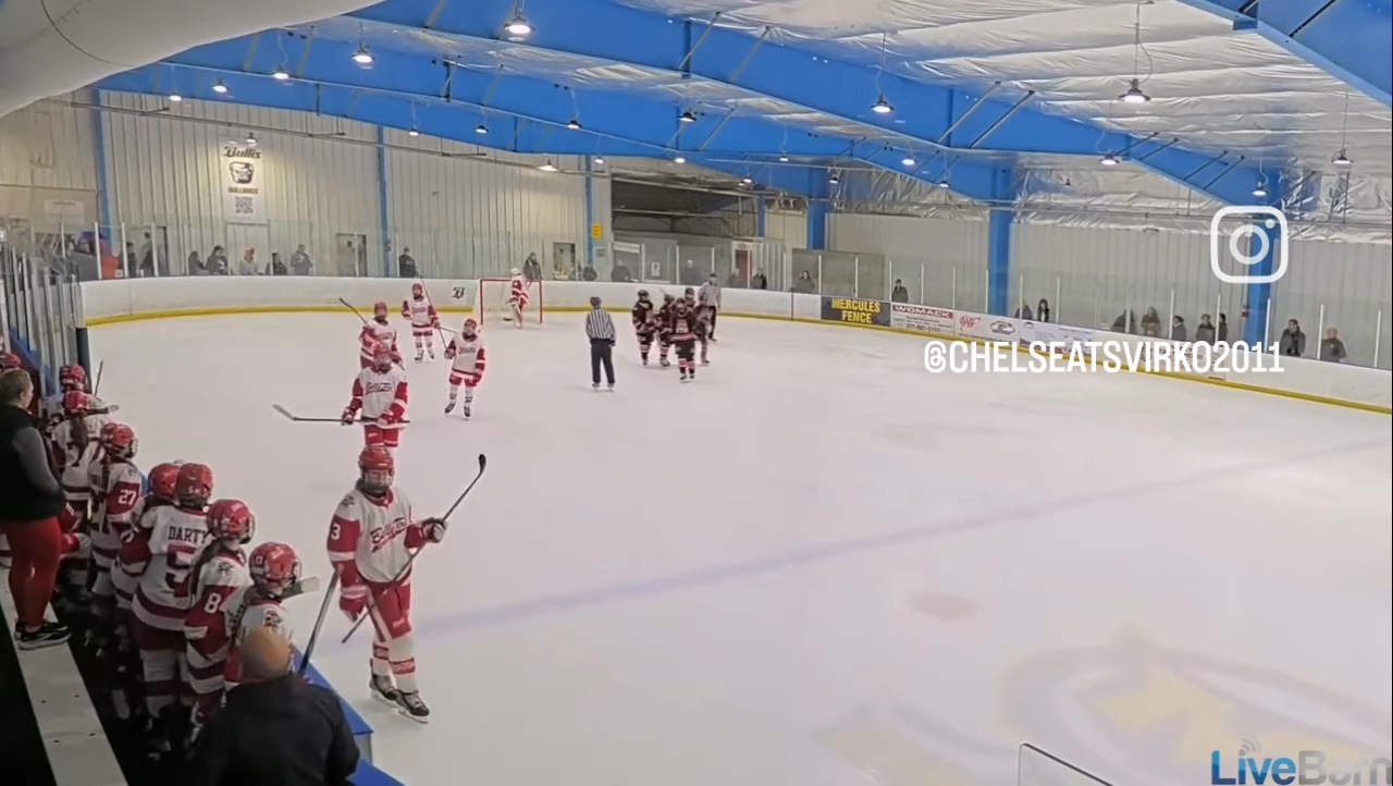 Chelsea Tsvirko's Bar Down Beauty | Princeton Tiger Lilies 14U AAA