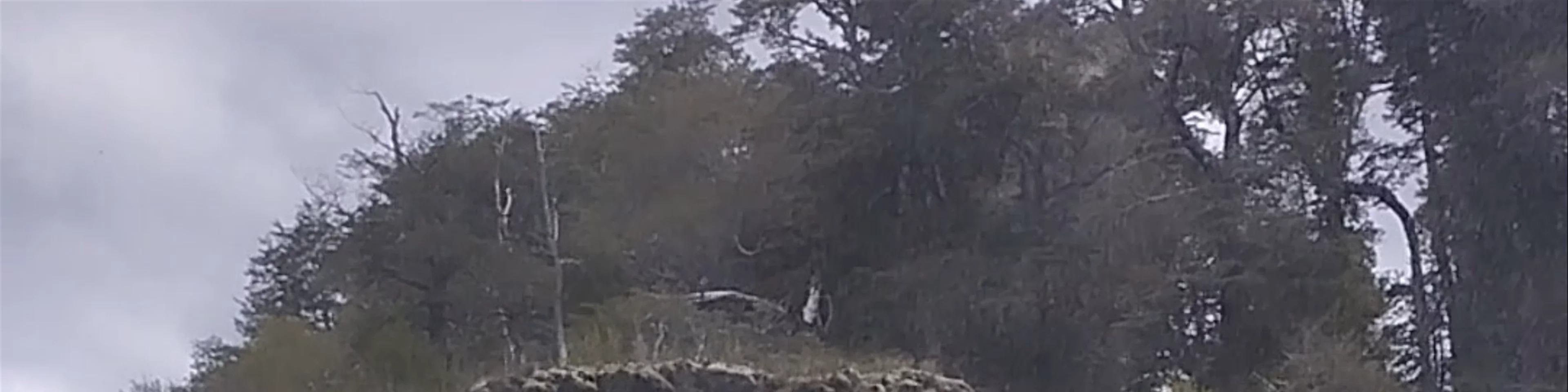 Salto Huilo Huilo