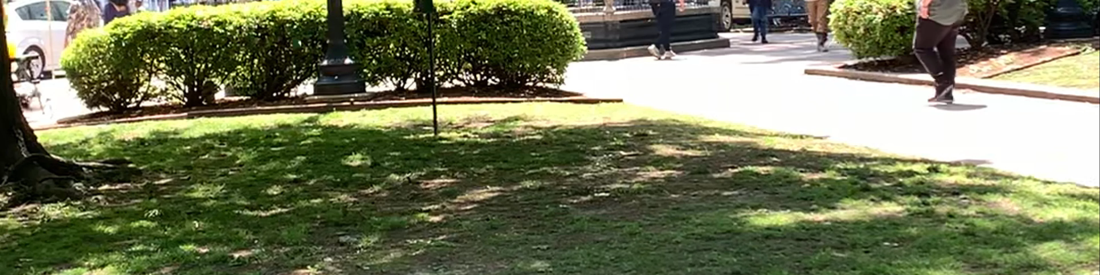 Court Square Park