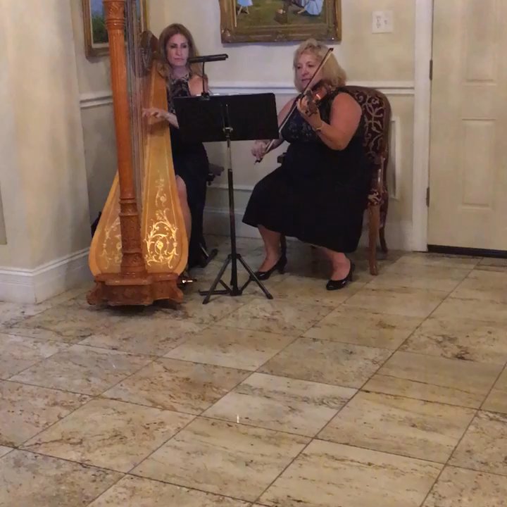 Yazz Events - Harp/violin - Musicians Near Me - Deer Park, Illinois