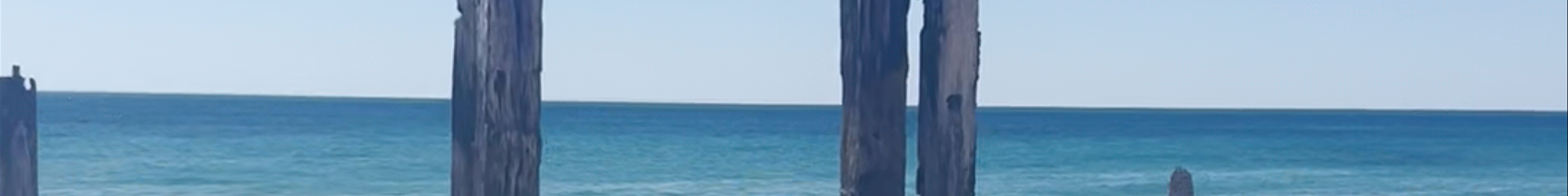 Tours & experiences in Aldinga Beach