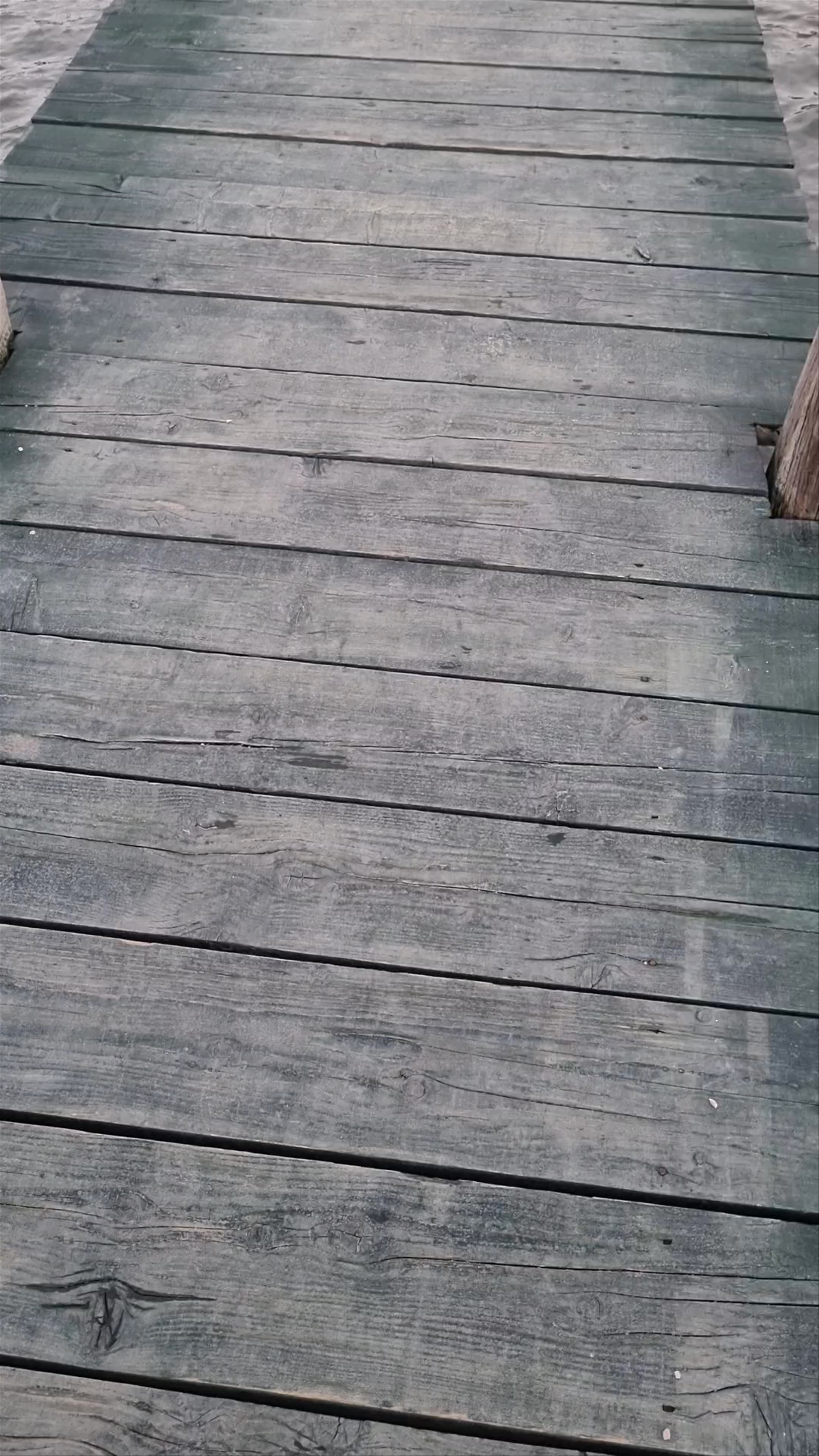 Plaža Novalja Sjever