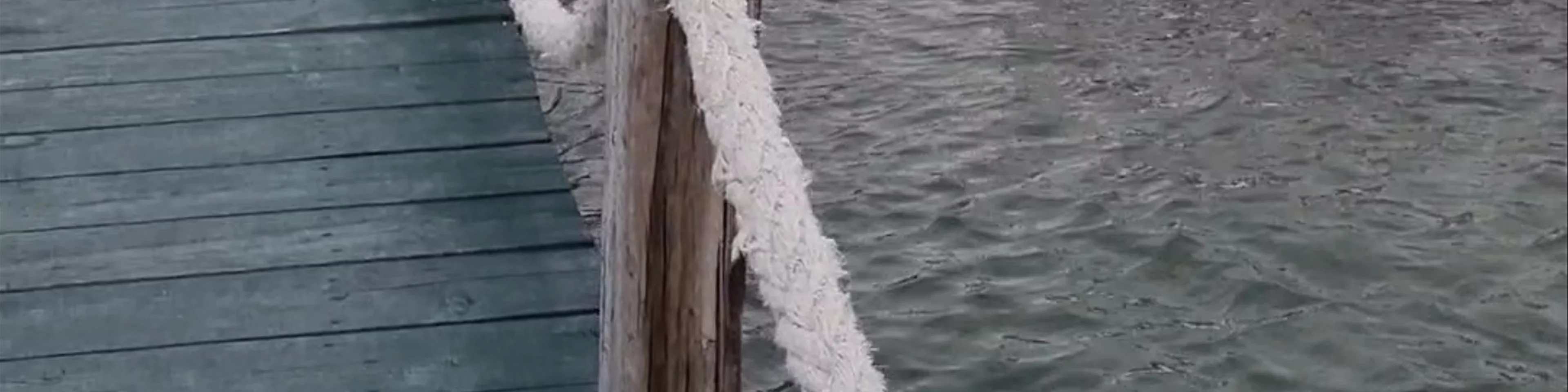 Plaža Novalja Sjever