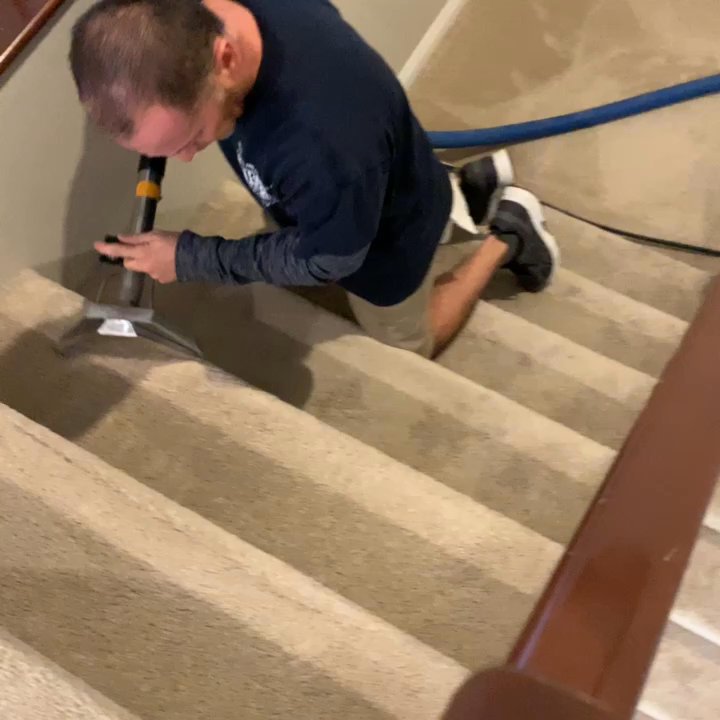 True Carpet Cleaning - Fantastic service! - Carpet Cleaning Near Me