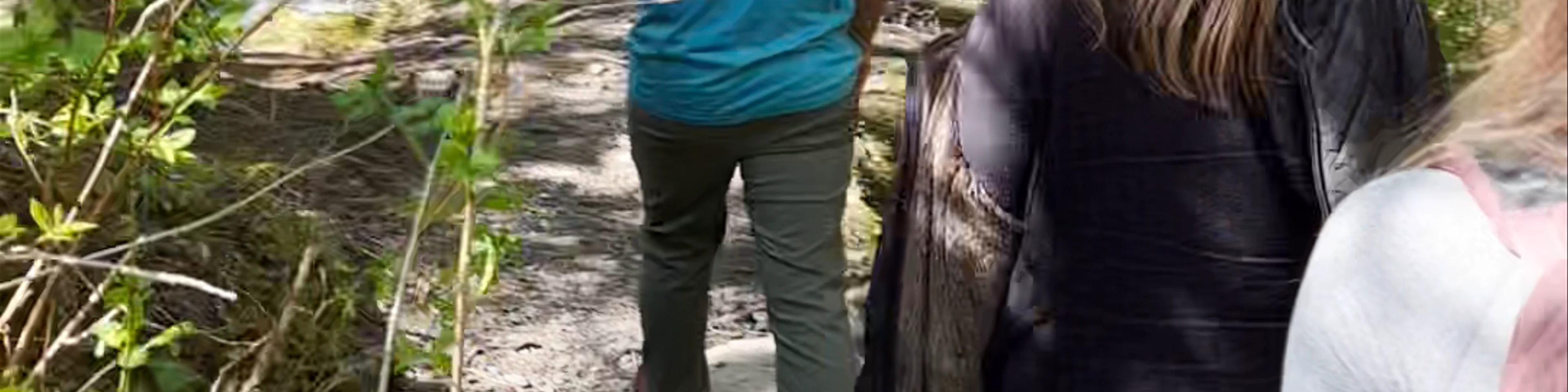 SEGWAY ALASKA